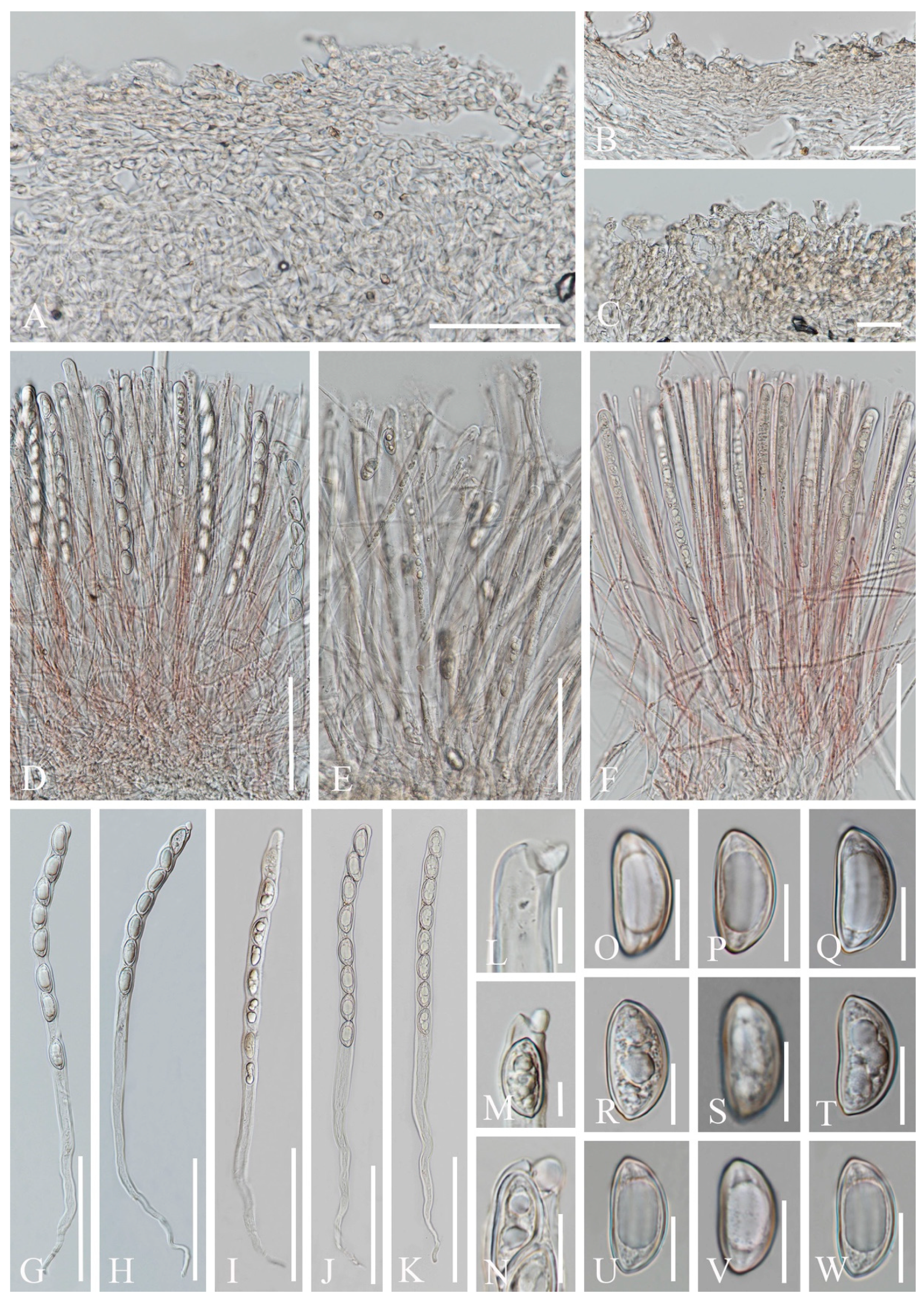 Biology 12 00130 g016