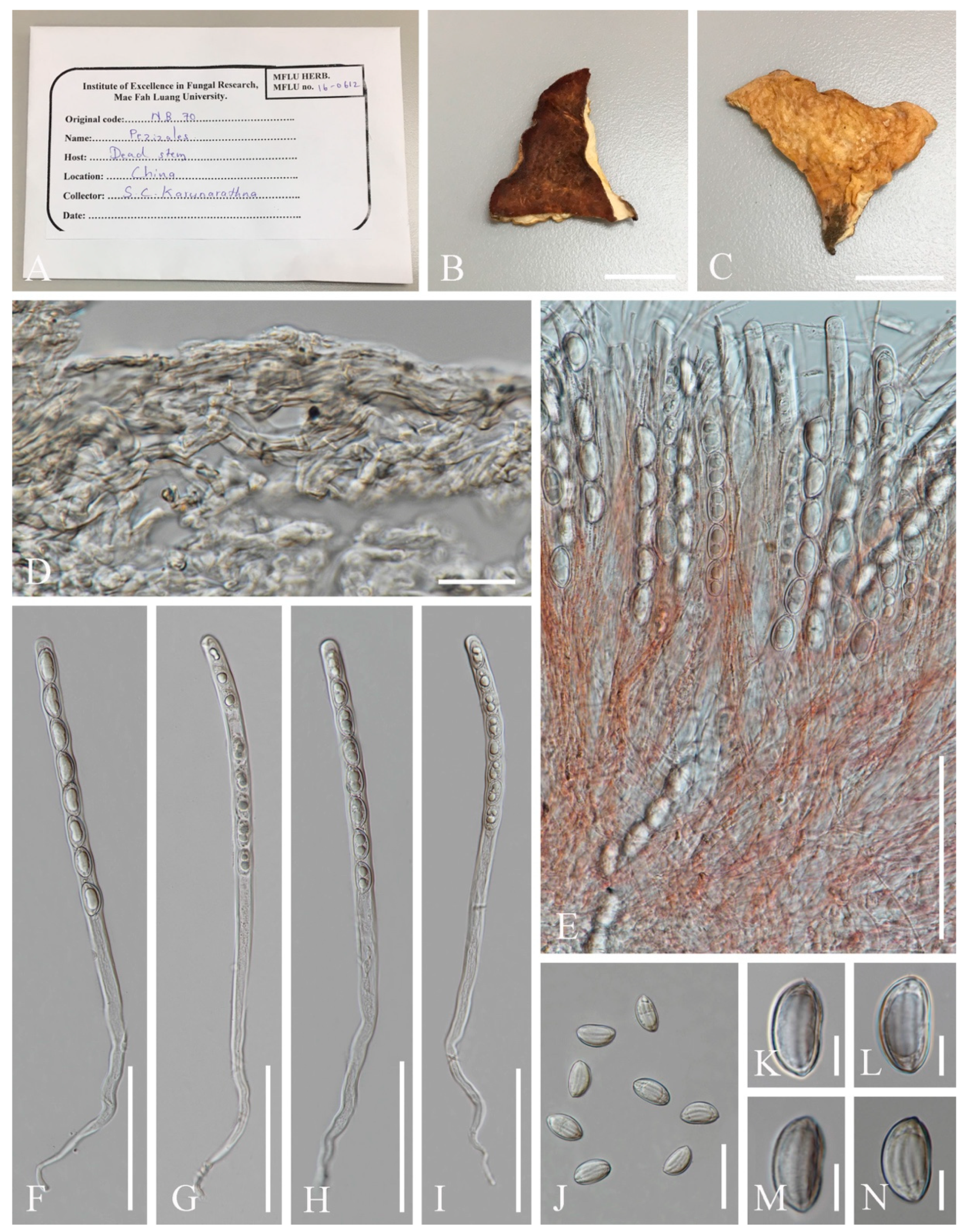 Biology 12 00130 g017