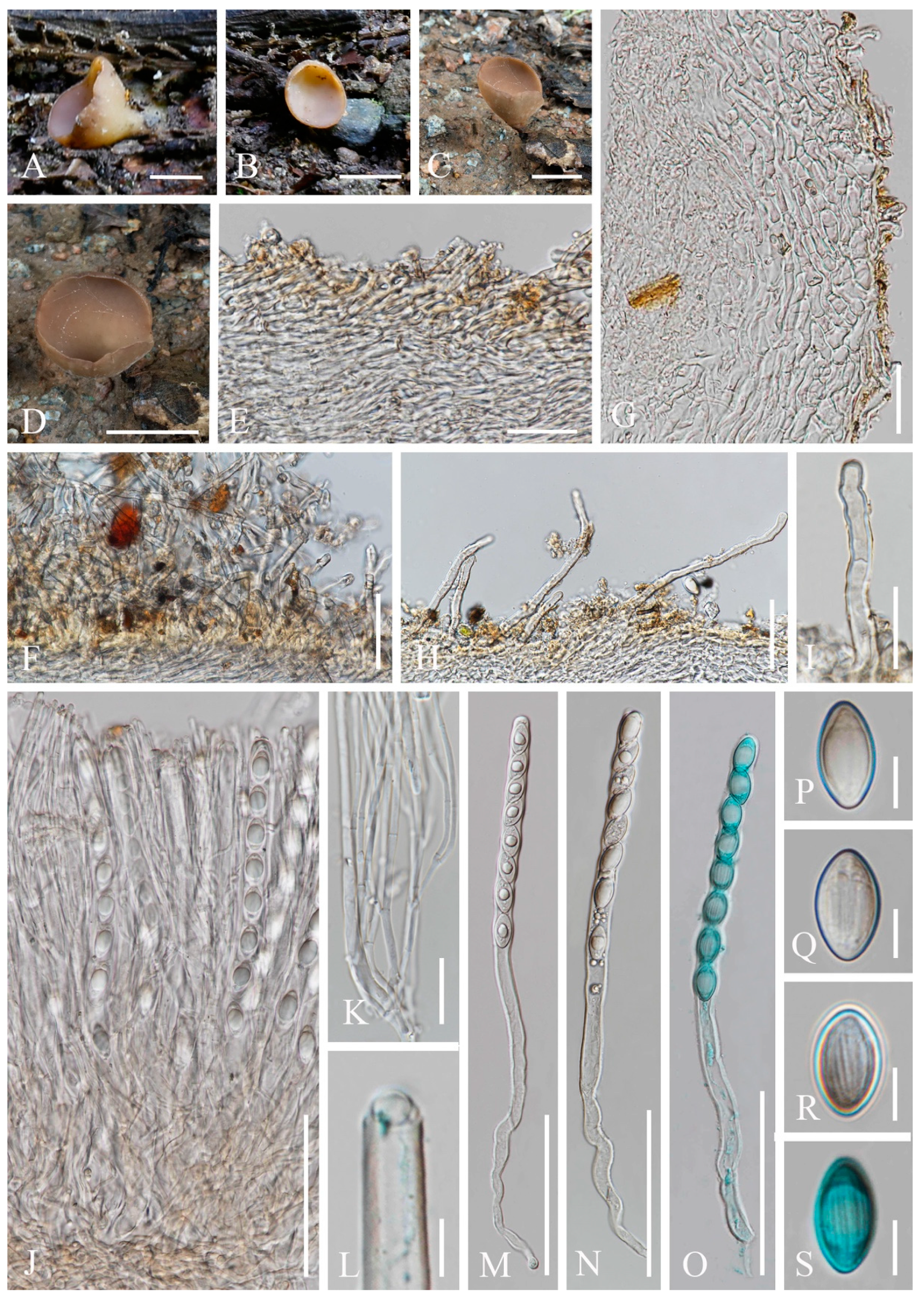 Biology 12 00130 g019