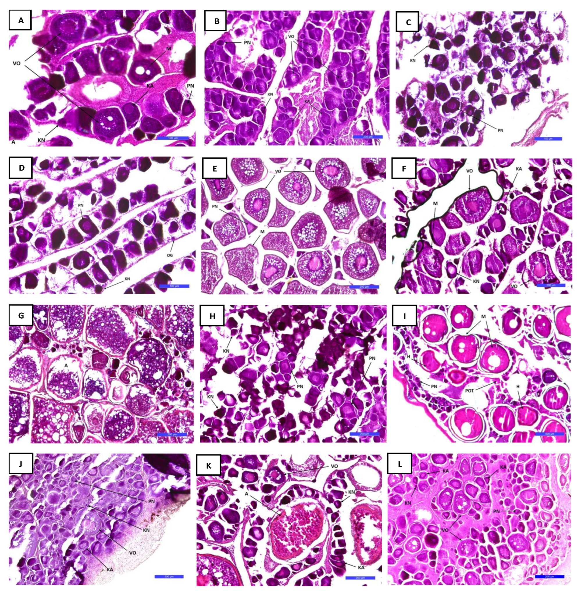 Biology 12 00131 g006