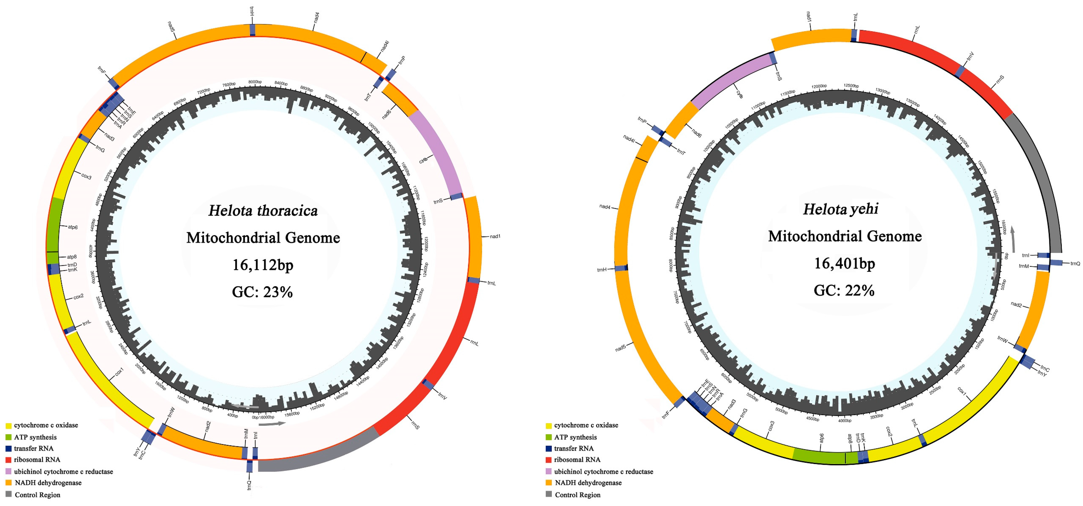 Biology 12 00135 g001