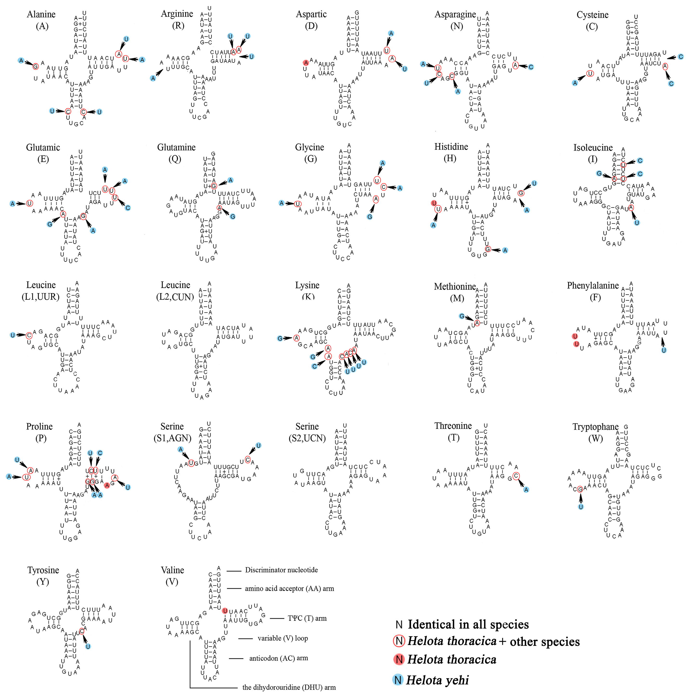 Biology 12 00135 g005