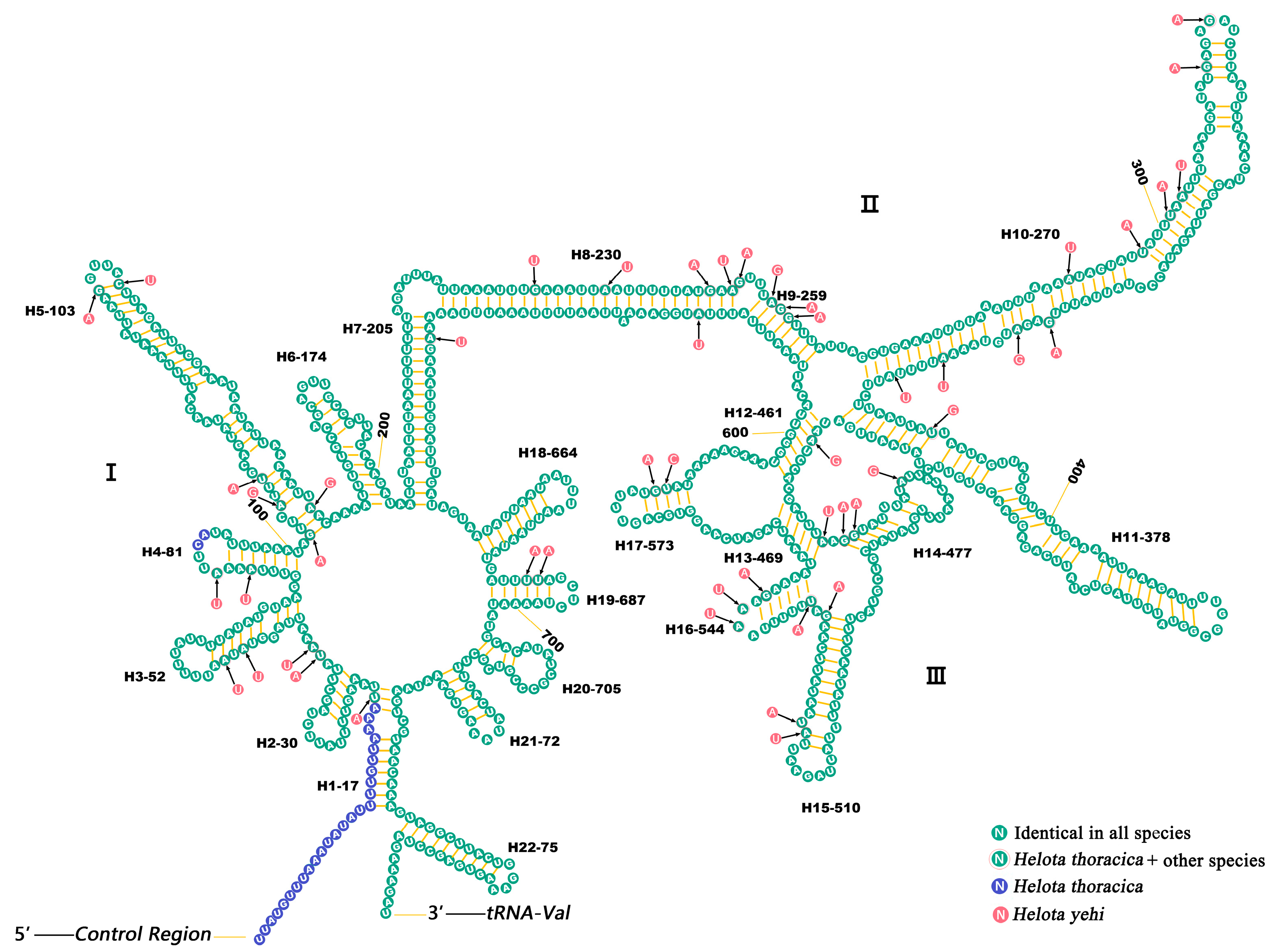 Biology 12 00135 g006