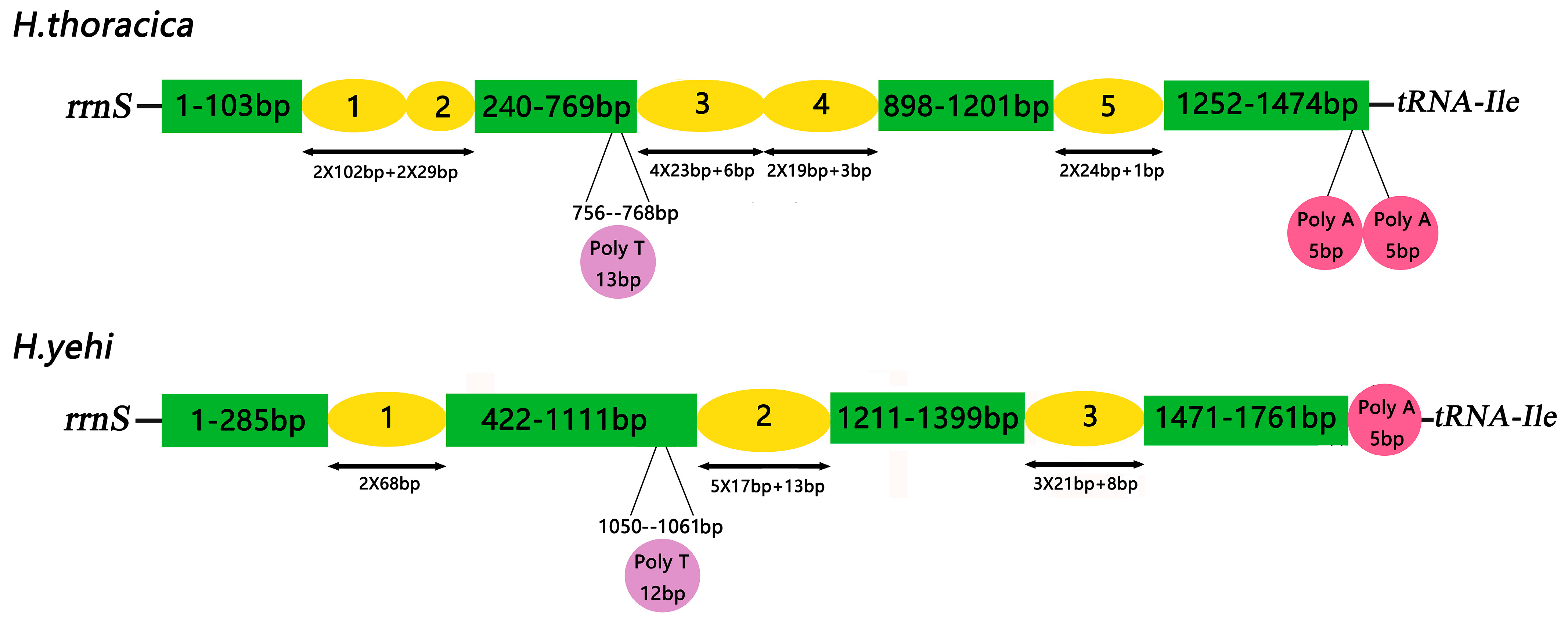 Biology 12 00135 g008