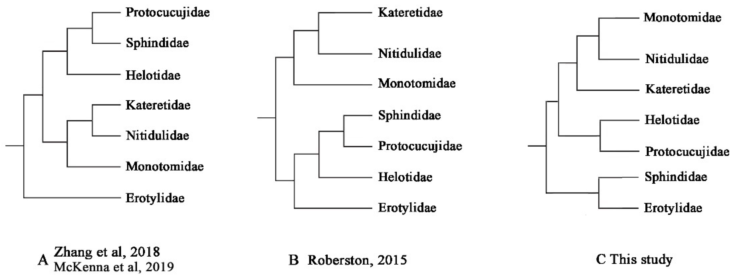 Biology 12 00135 g011