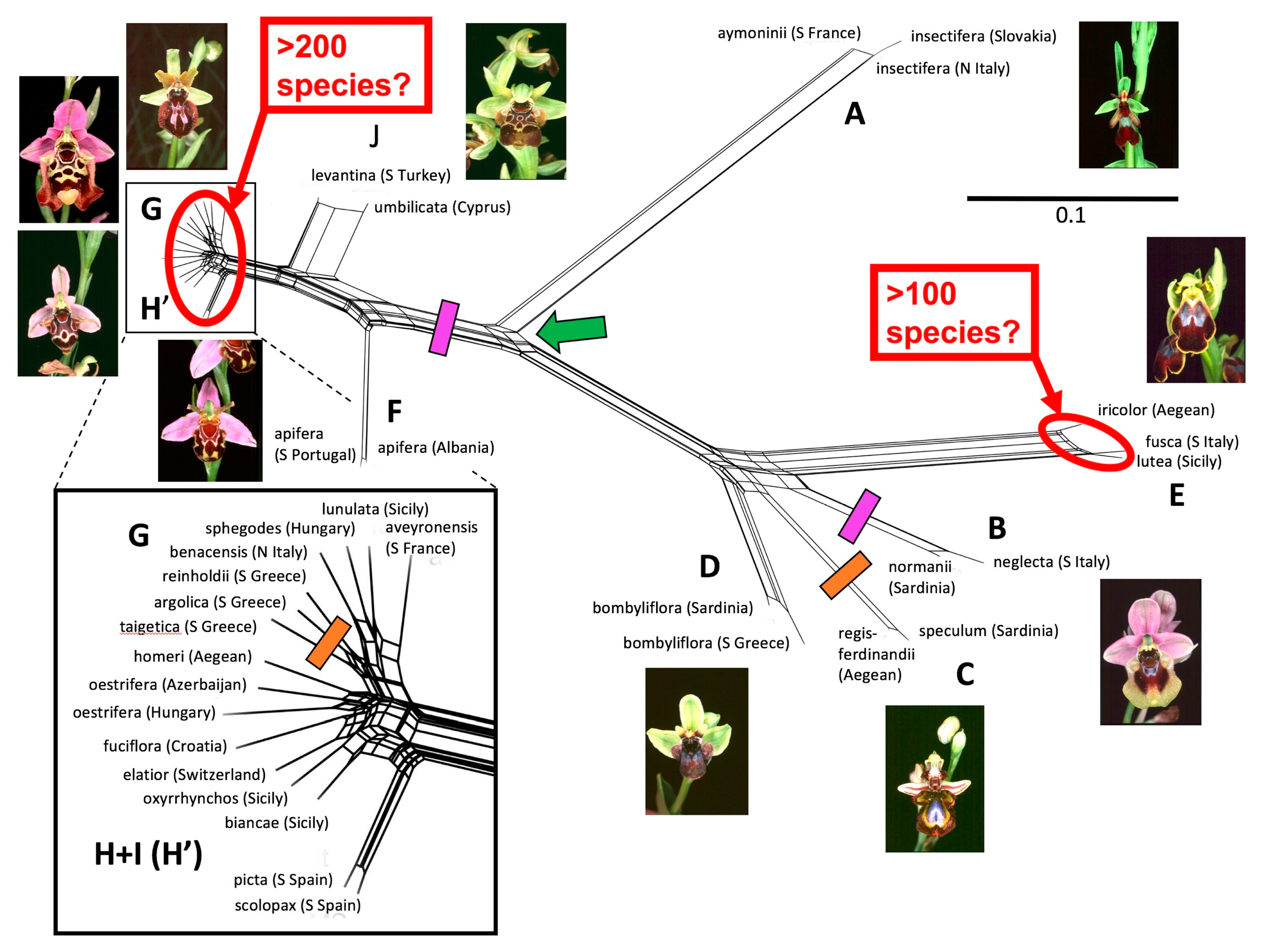 Biology 12 00136 g001 Biology 12 00136 g001