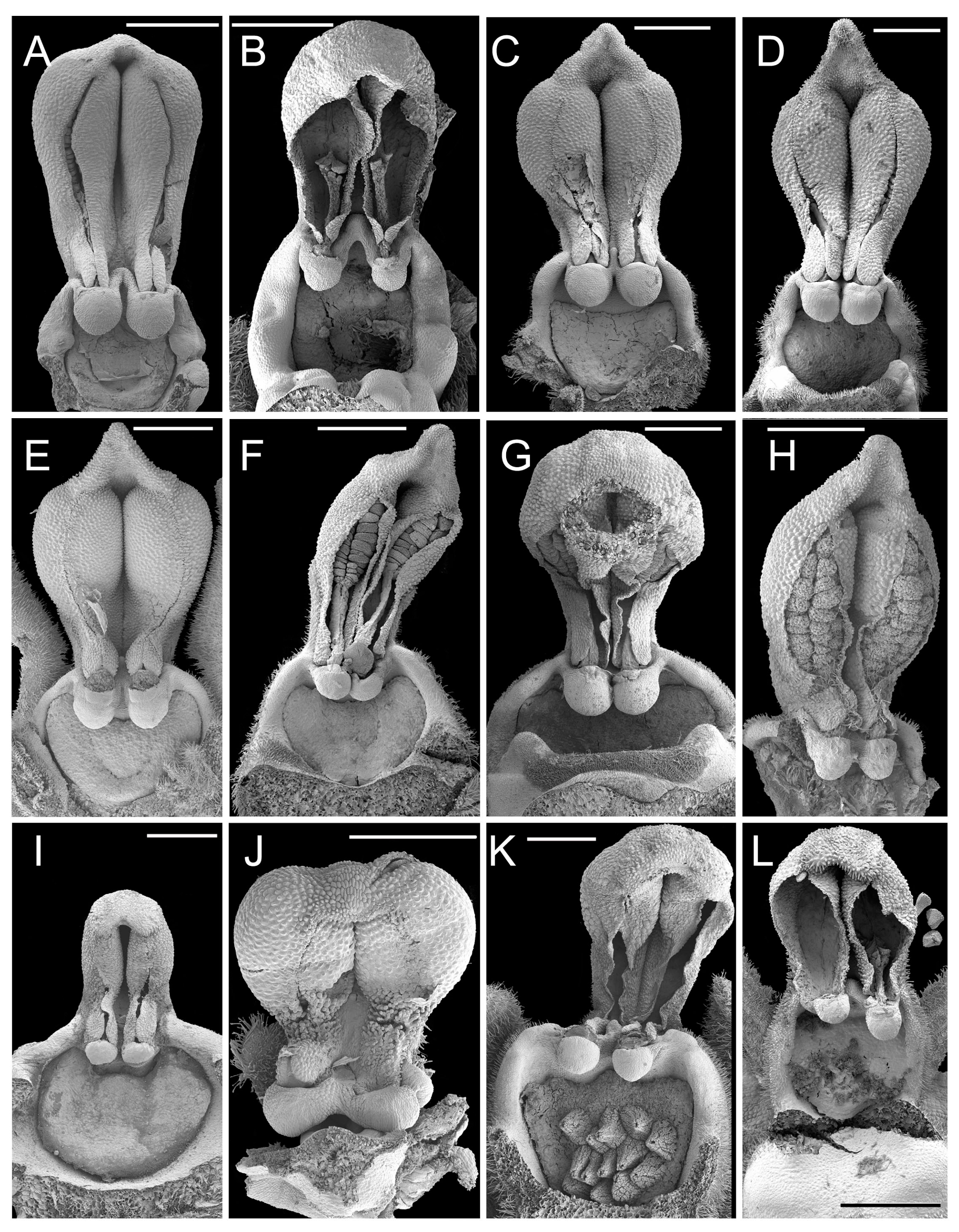 Biology 12 00136 g004 Biology 12 00136 g004
