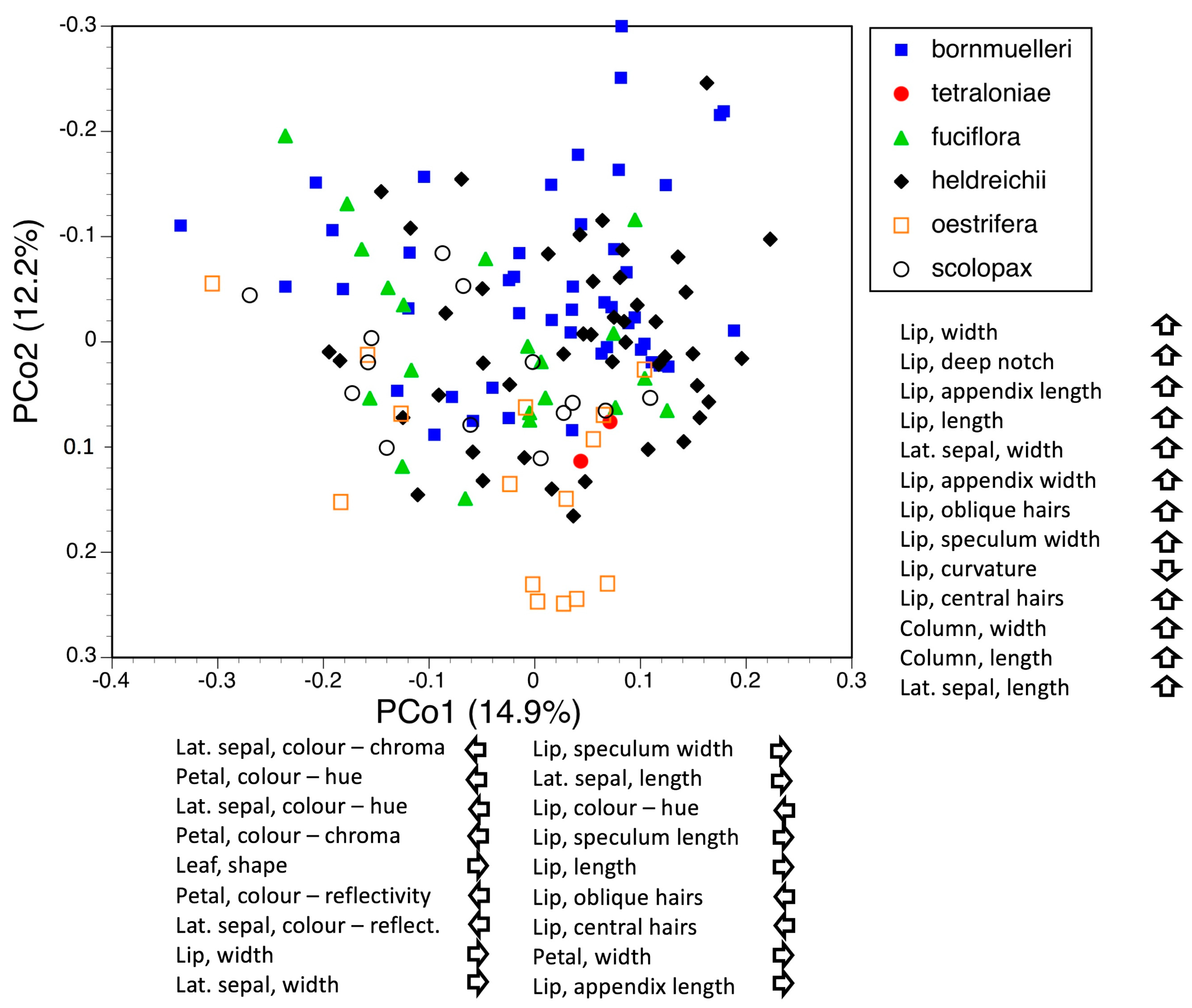 Biology 12 00136 g008 Biology 12 00136 g008