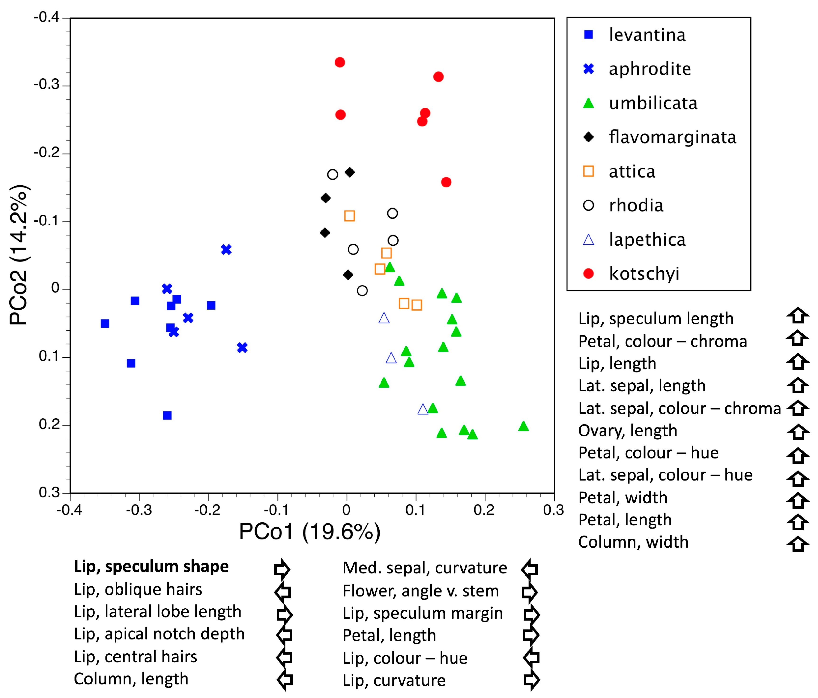Biology 12 00136 g009 Biology 12 00136 g009