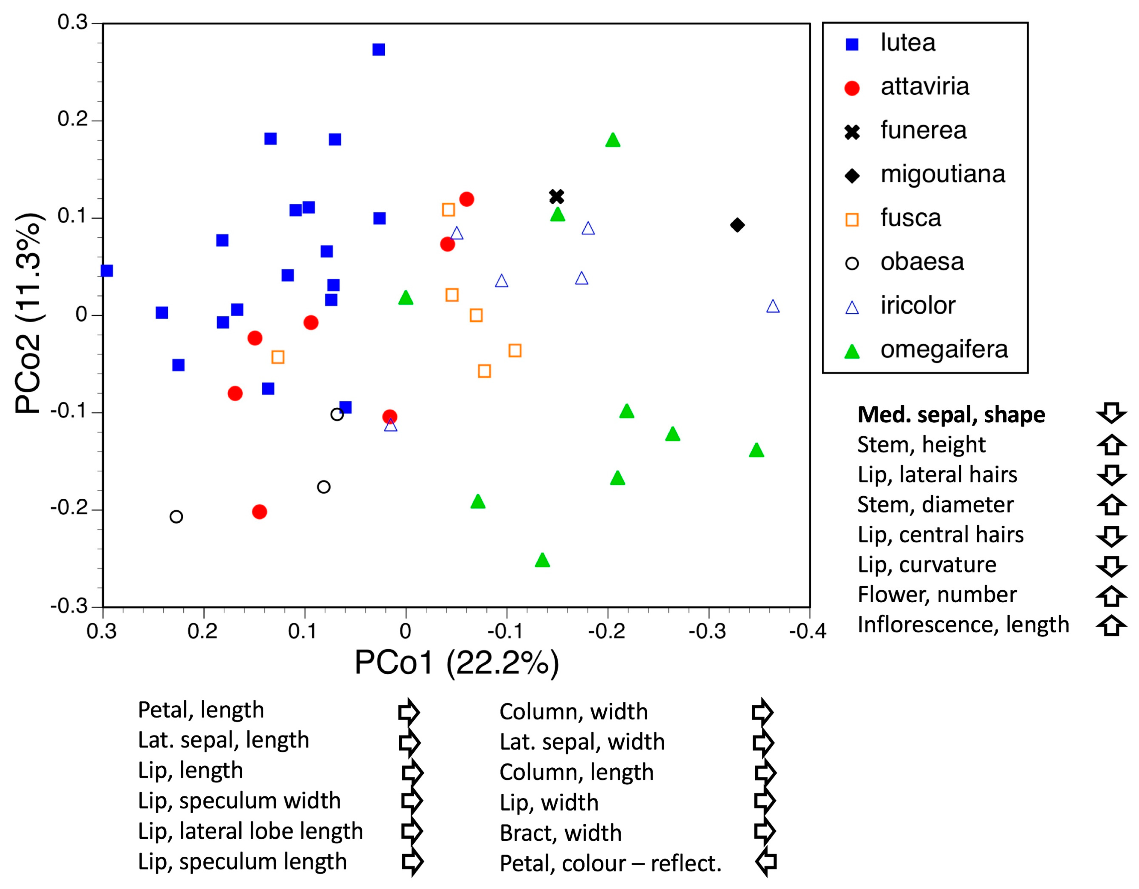 Biology 12 00136 g011 Biology 12 00136 g011