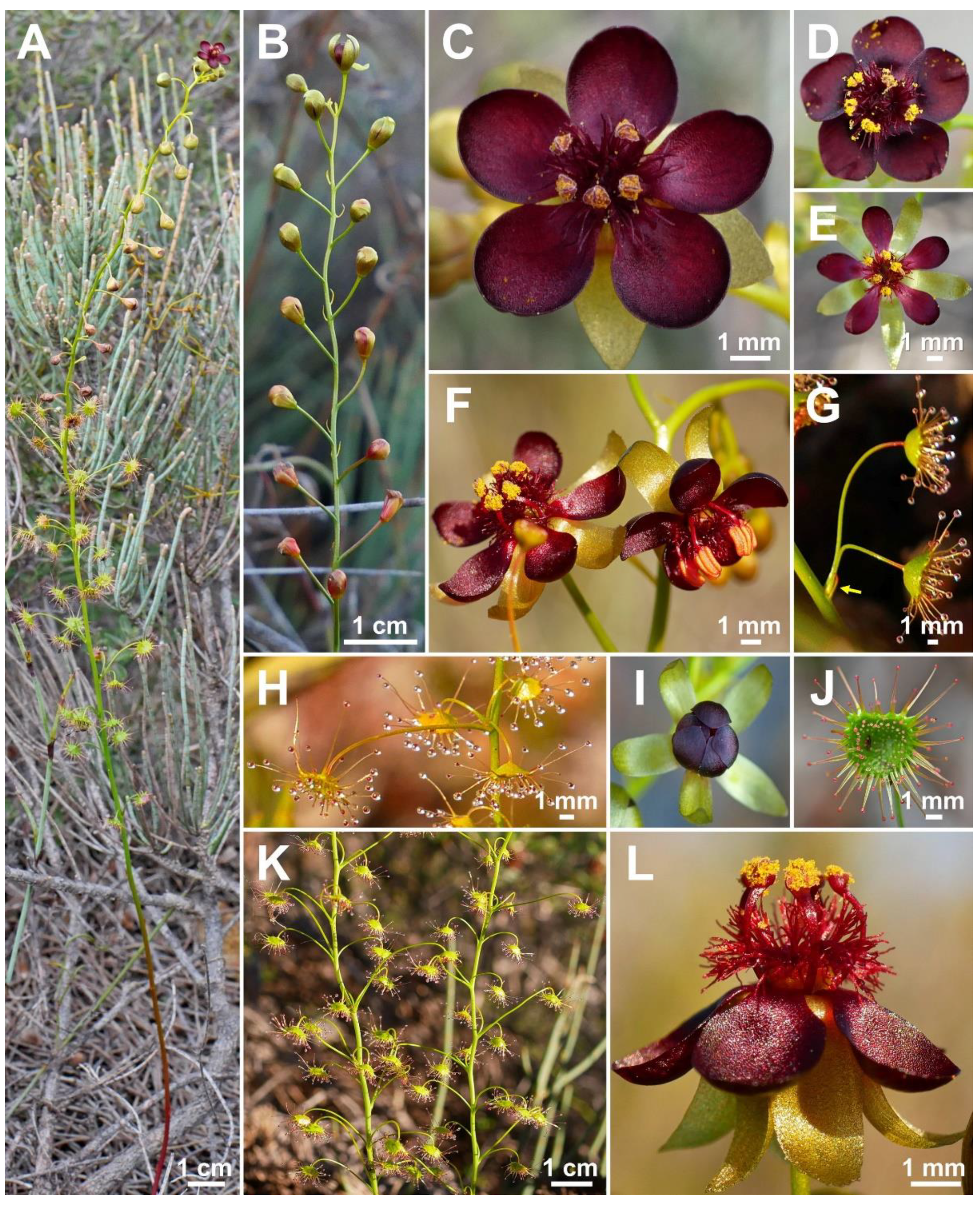 Biology 12 00141 g002