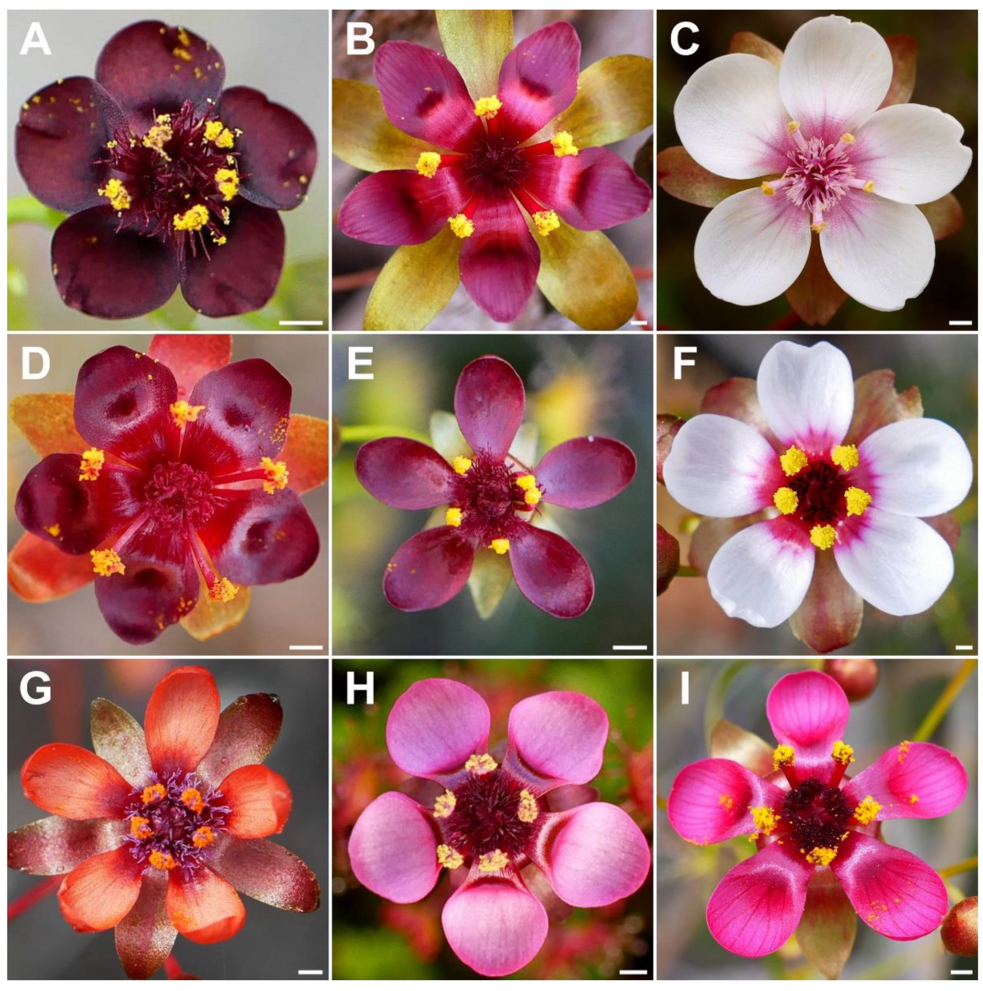 Biology 12 00141 g004