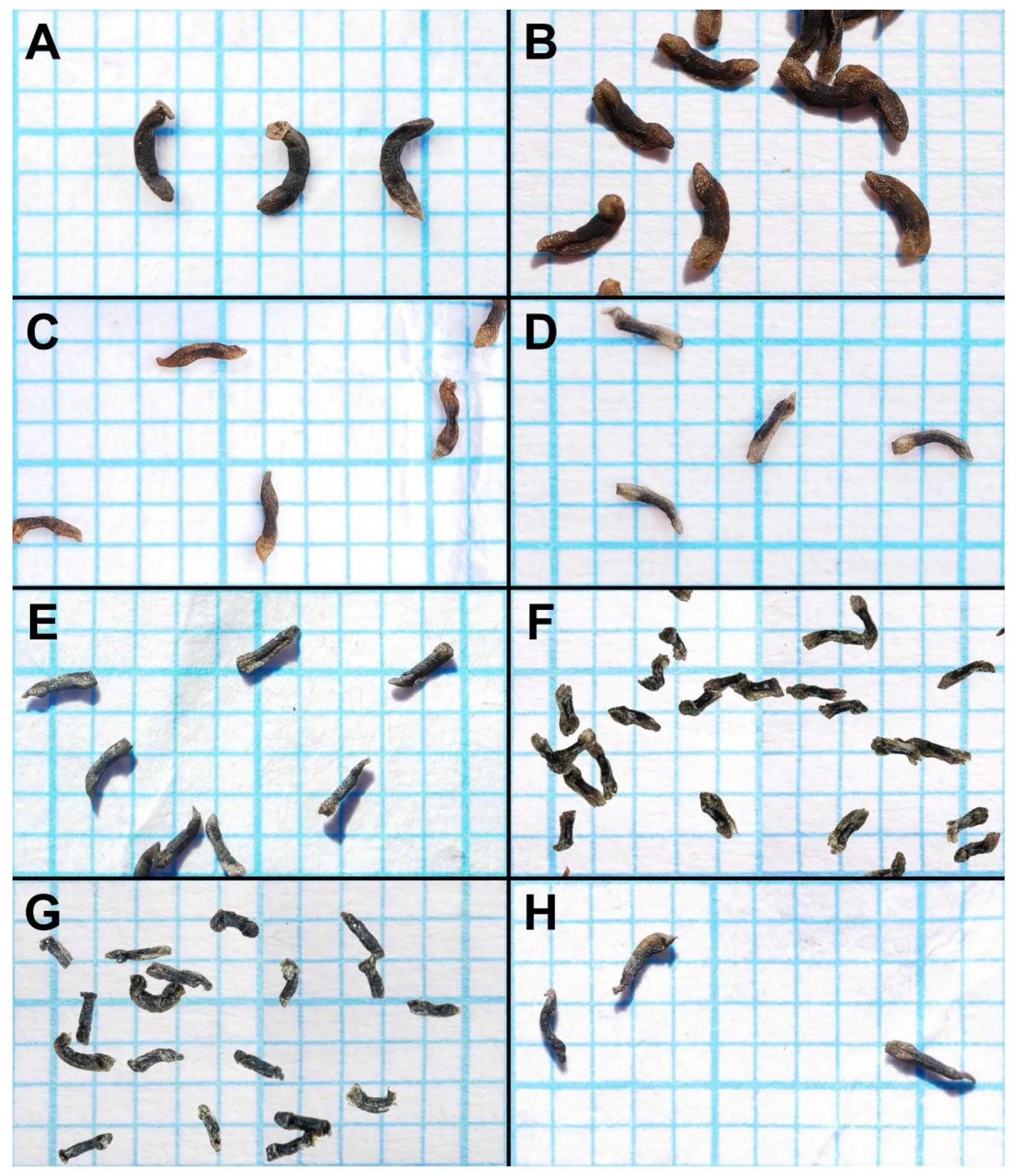 Biology 12 00141 g005