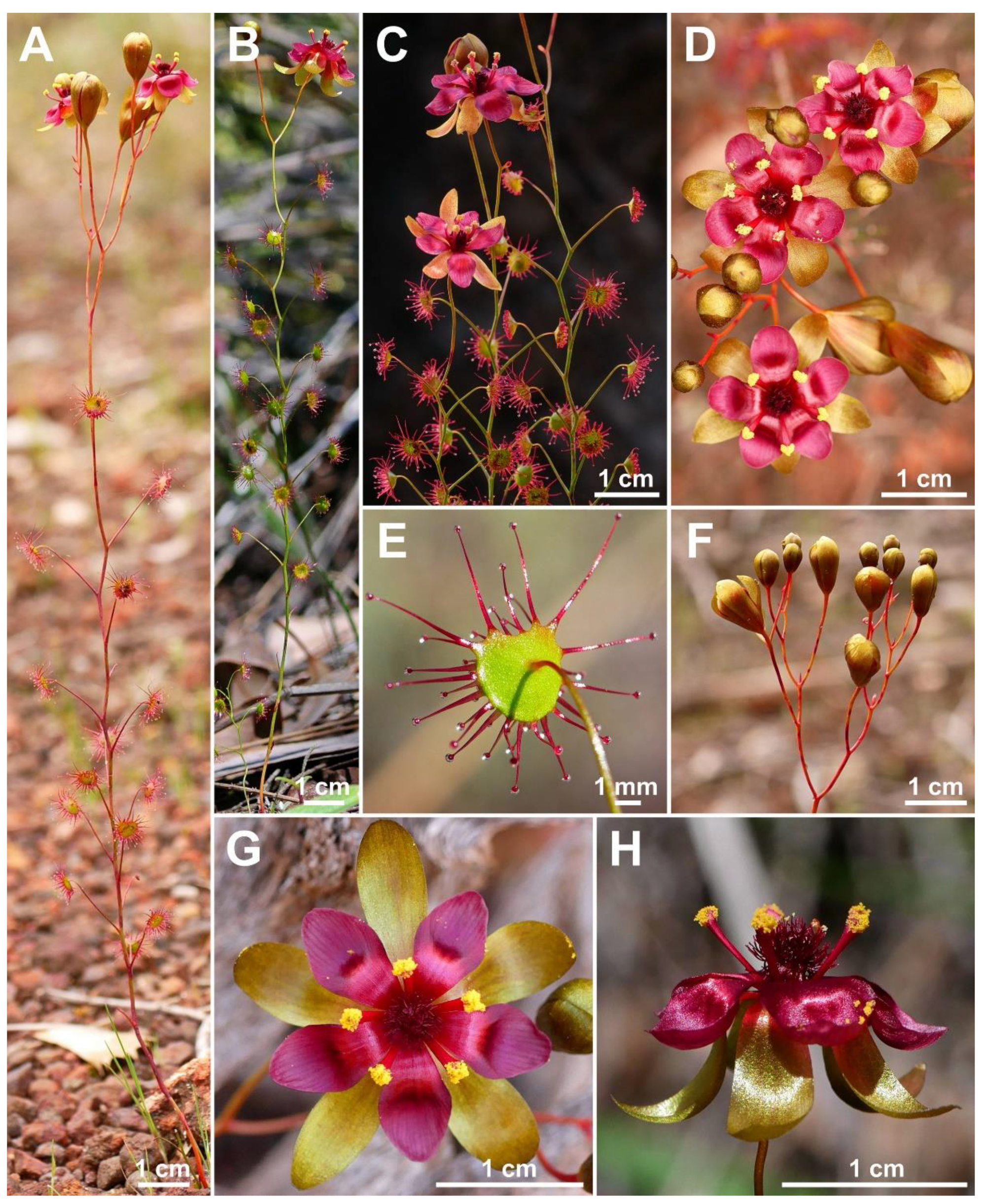 Biology 12 00141 g006