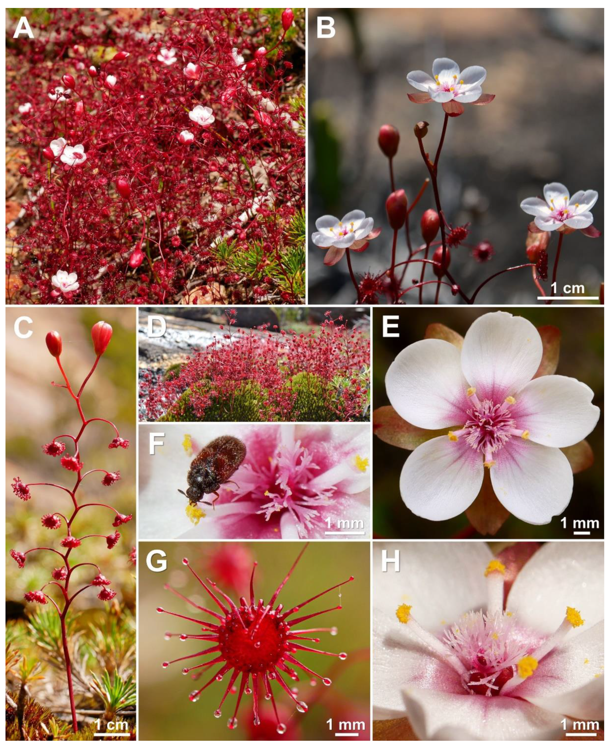 Biology 12 00141 g007