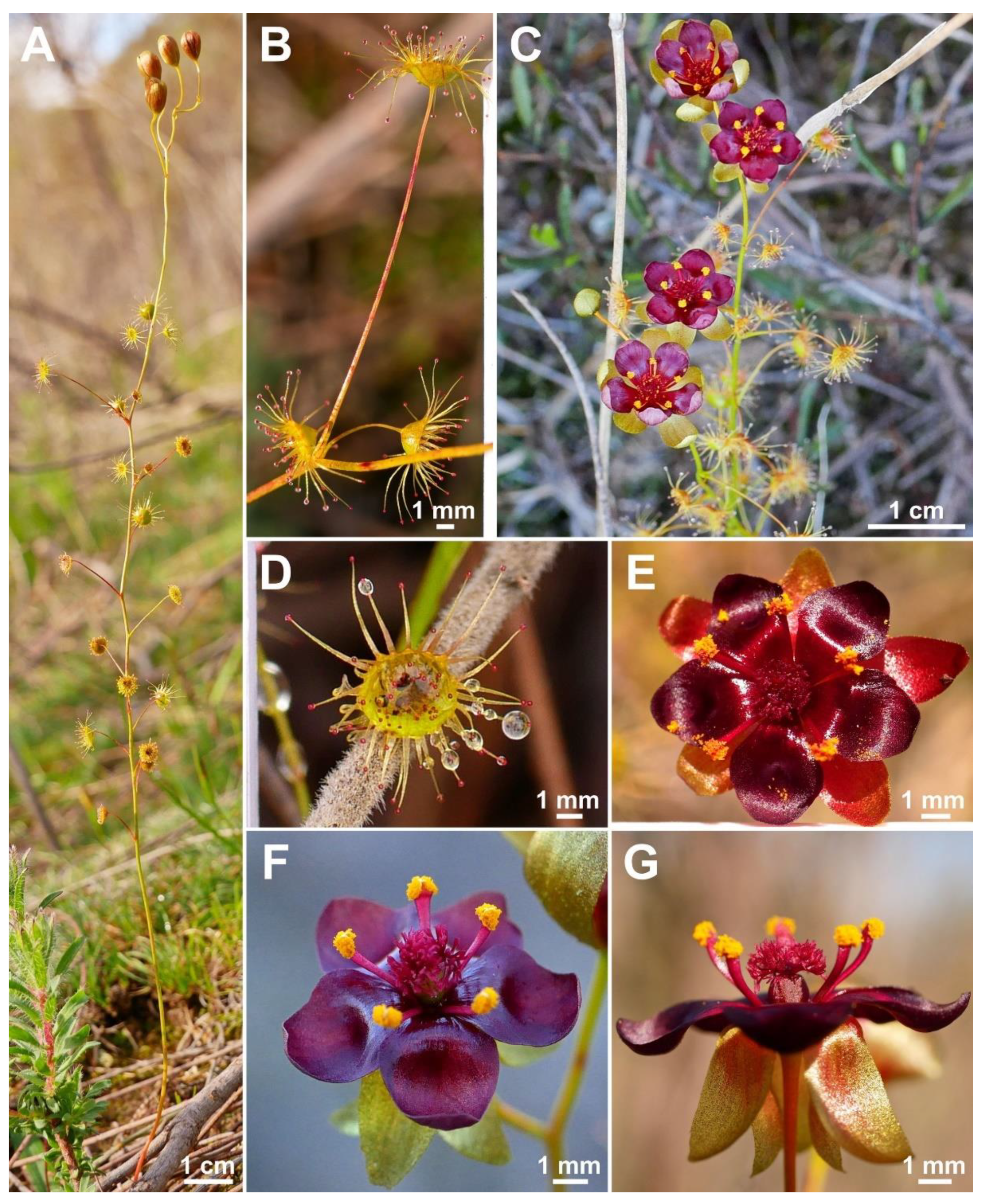 Biology 12 00141 g009