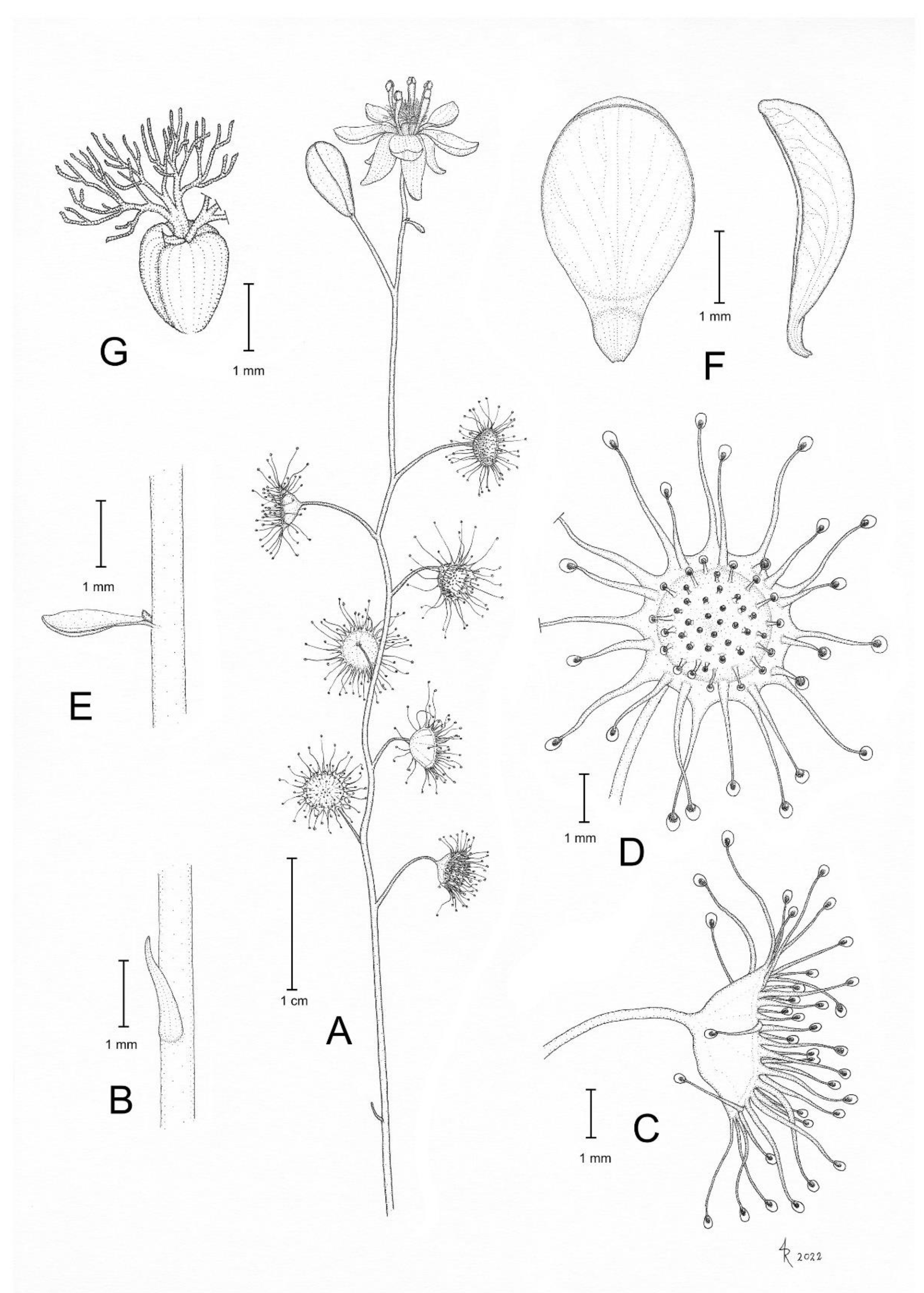 Biology 12 00141 g010