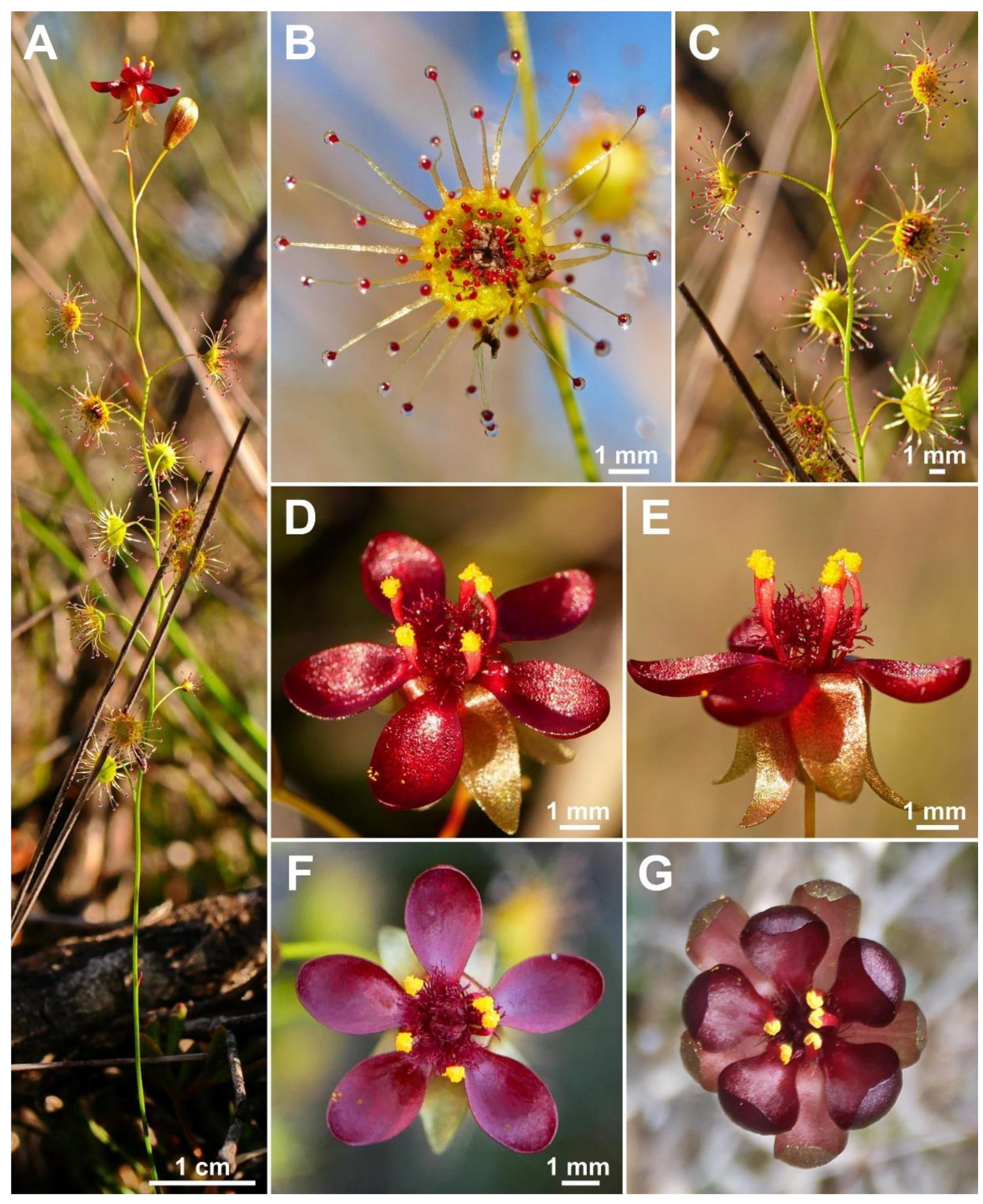 Biology 12 00141 g011