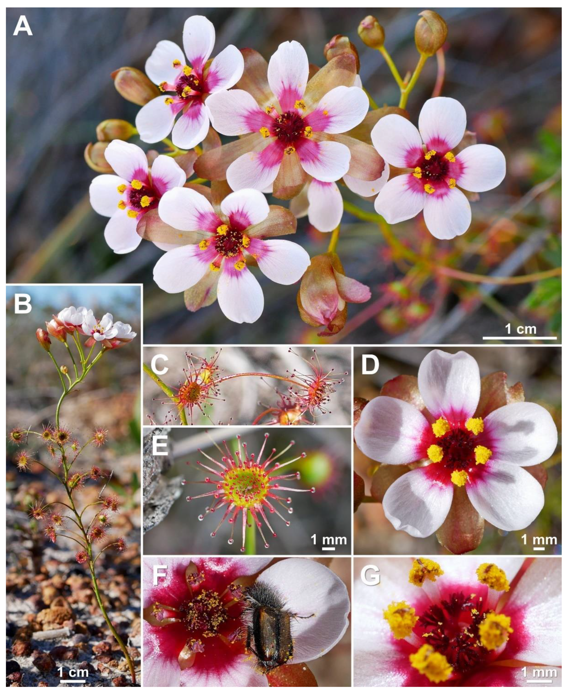 Biology 12 00141 g013