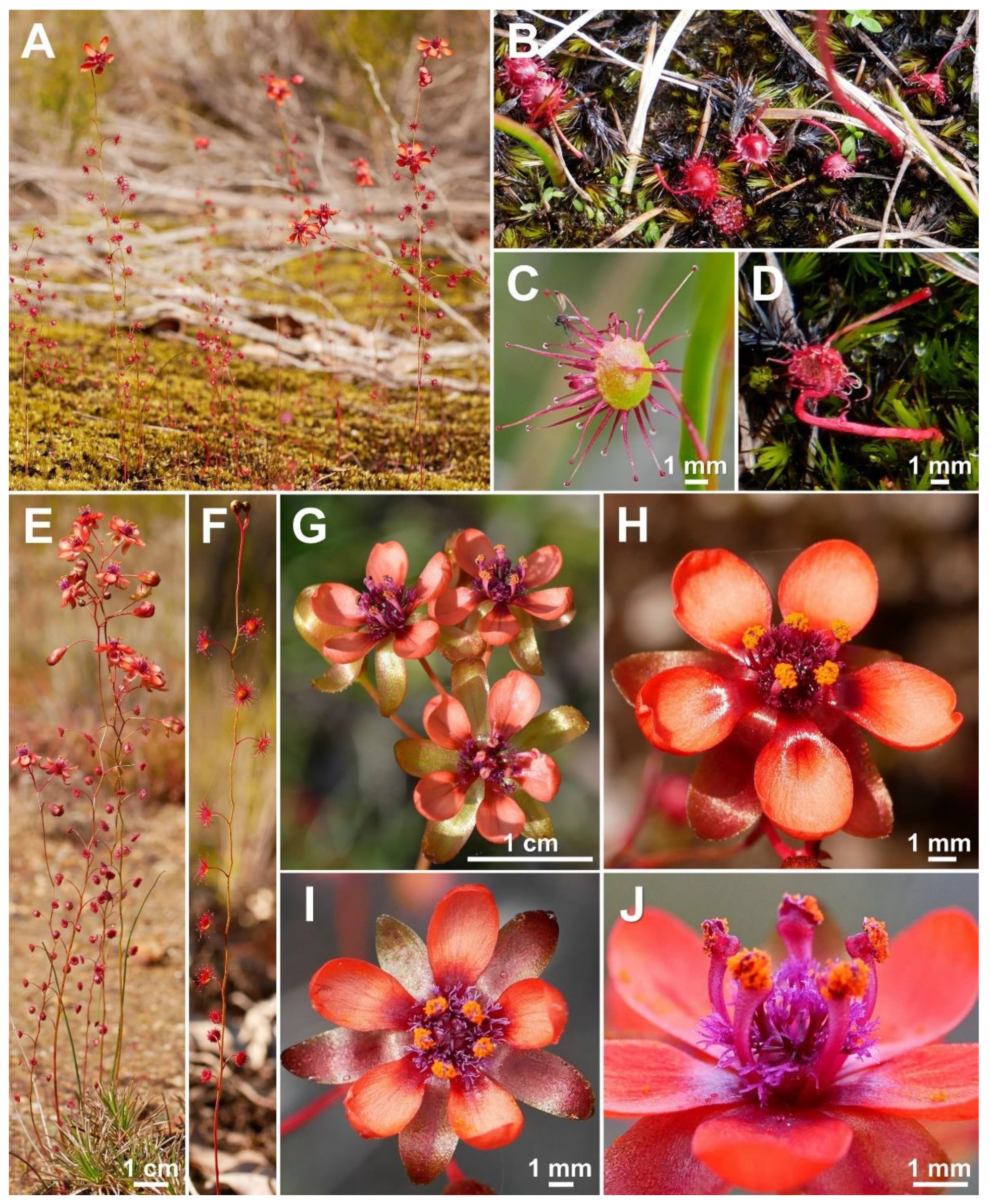 Biology 12 00141 g014