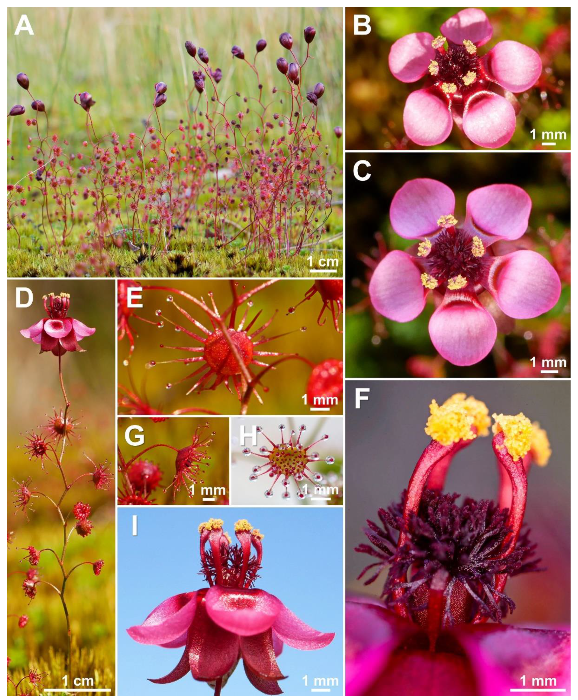 Biology 12 00141 g016