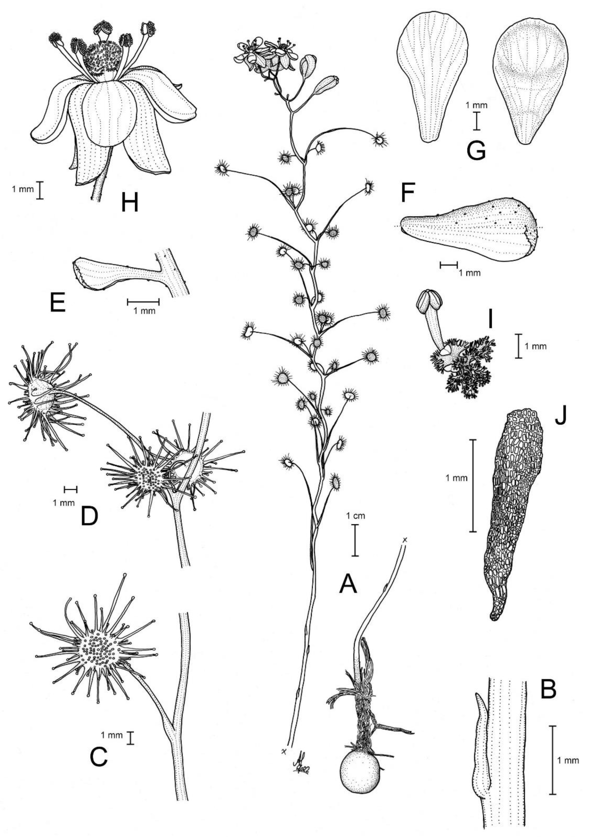 Biology 12 00141 g017