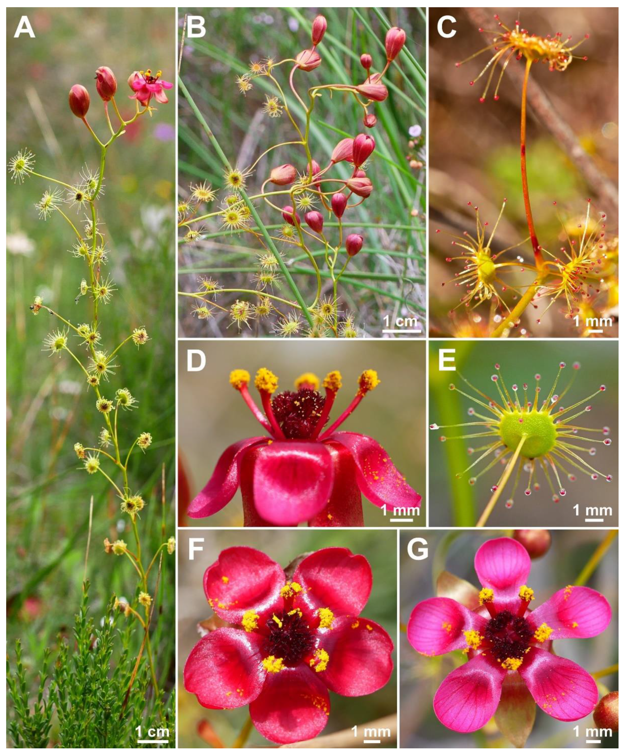 Biology 12 00141 g018