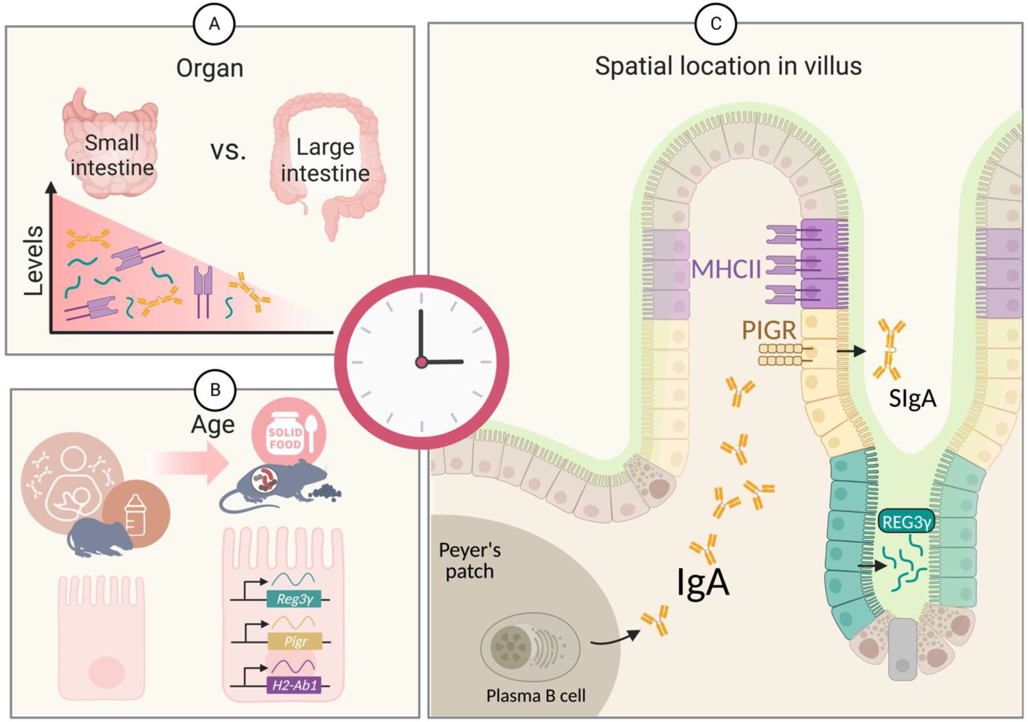 Biology 12 00142 g001 Biology 12 00142 g001