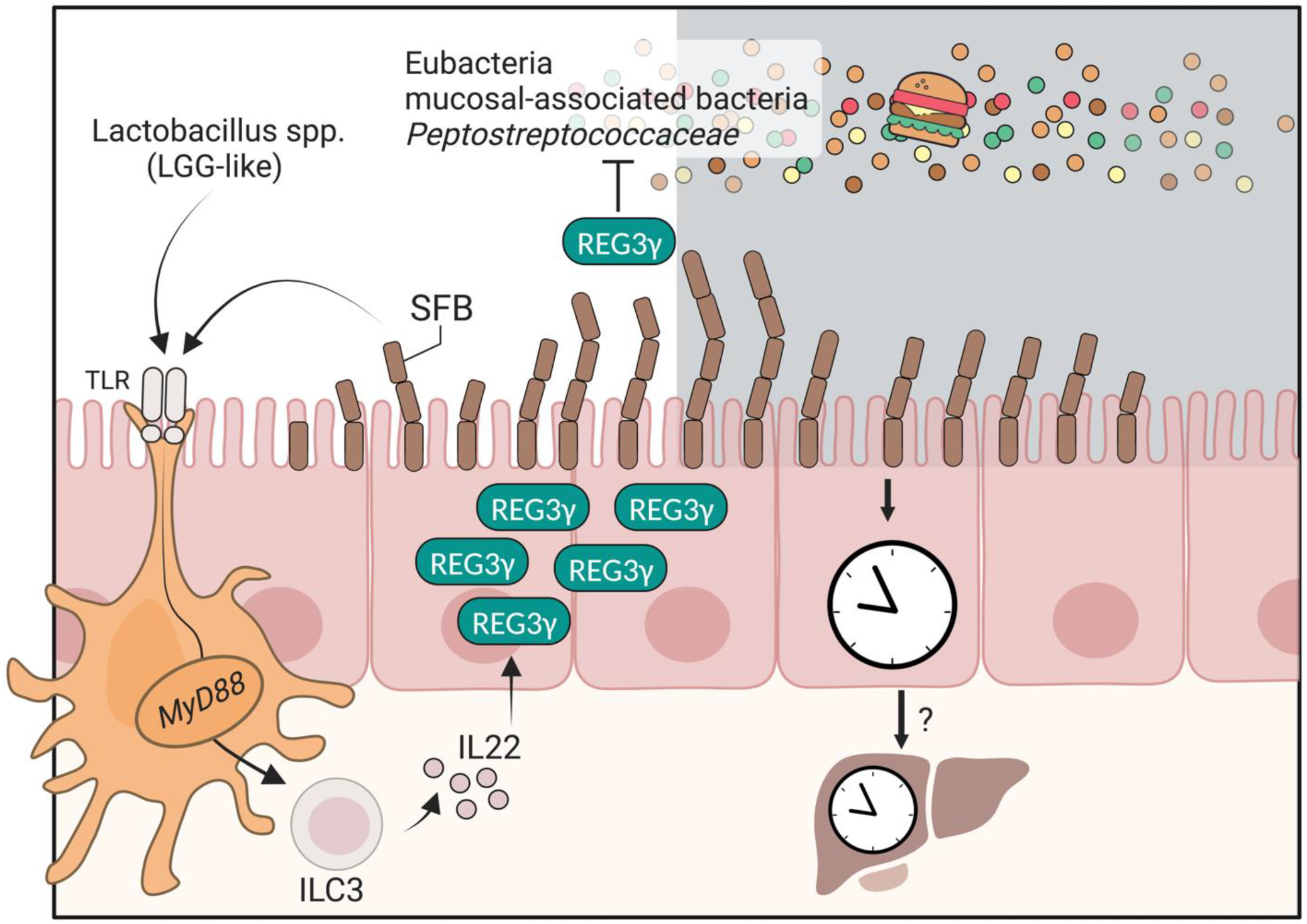 Biology 12 00142 g002 Biology 12 00142 g002