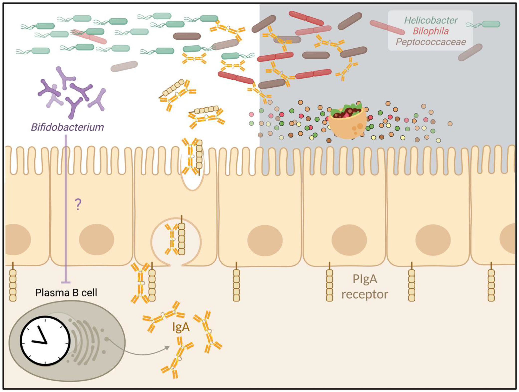 Biology 12 00142 g003 Biology 12 00142 g003