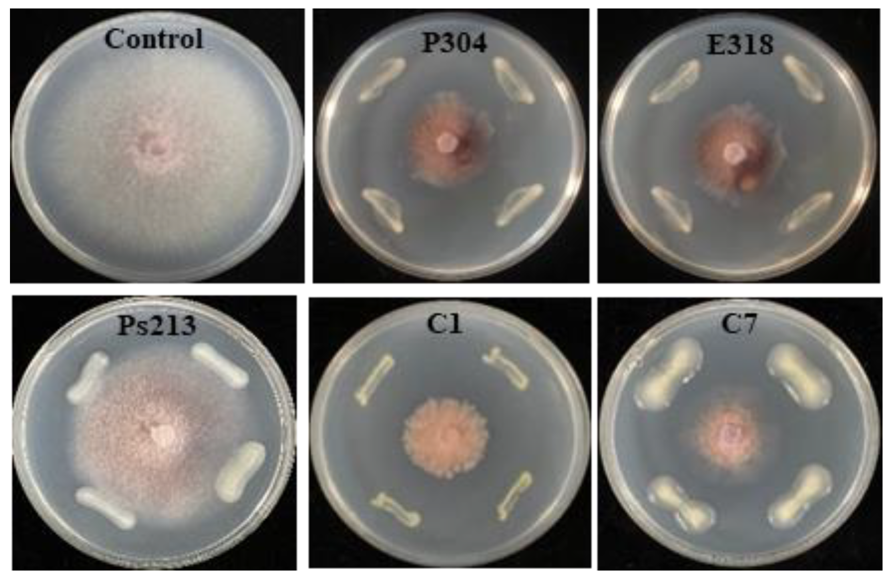 Biology 12 00143 g005 Biology 12 00143 g005