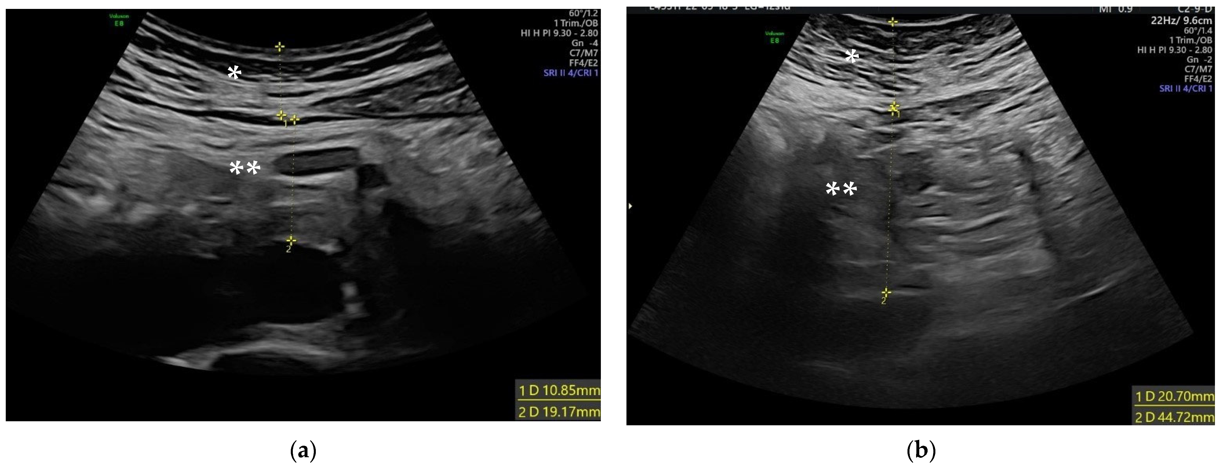 Biology 12 00144 g001 Biology 12 00144 g001