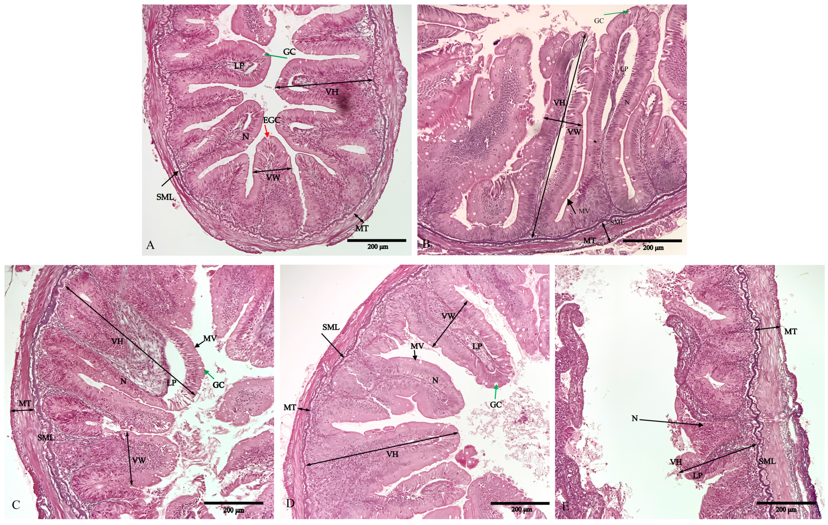 Biology 12 00145 g002
