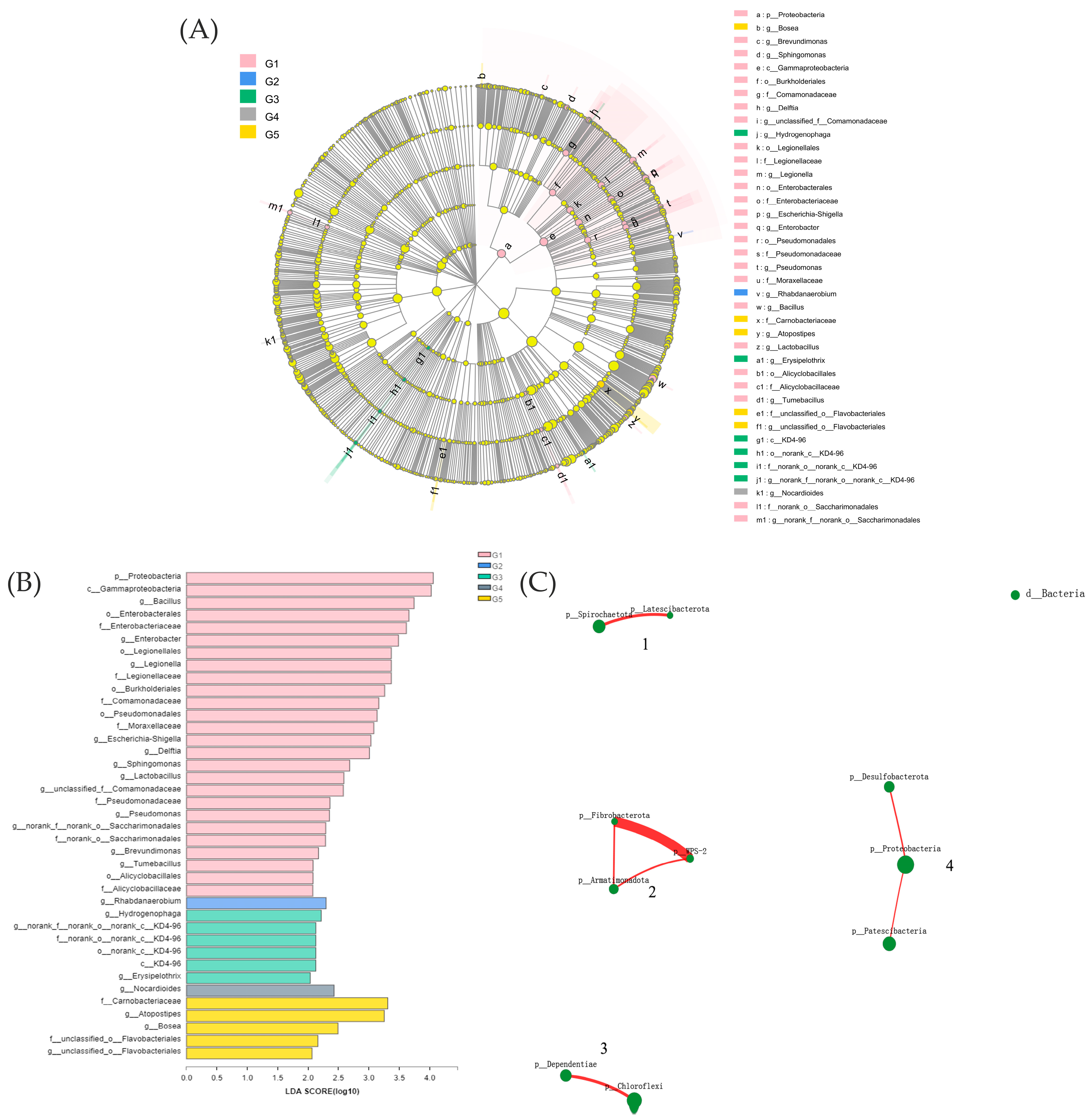 Biology 12 00145 g005