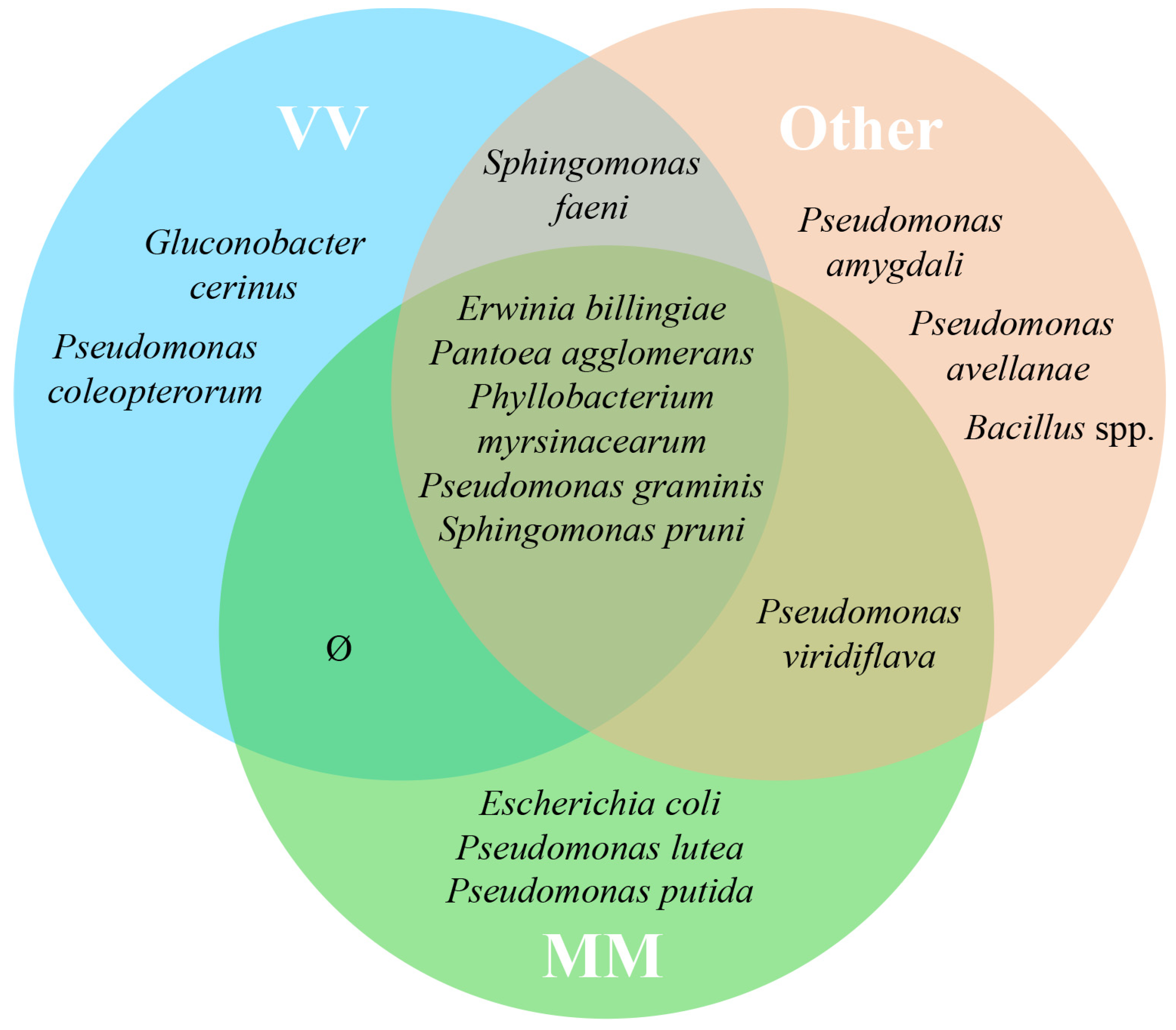 Biology 12 00146 g003 Biology 12 00146 g003