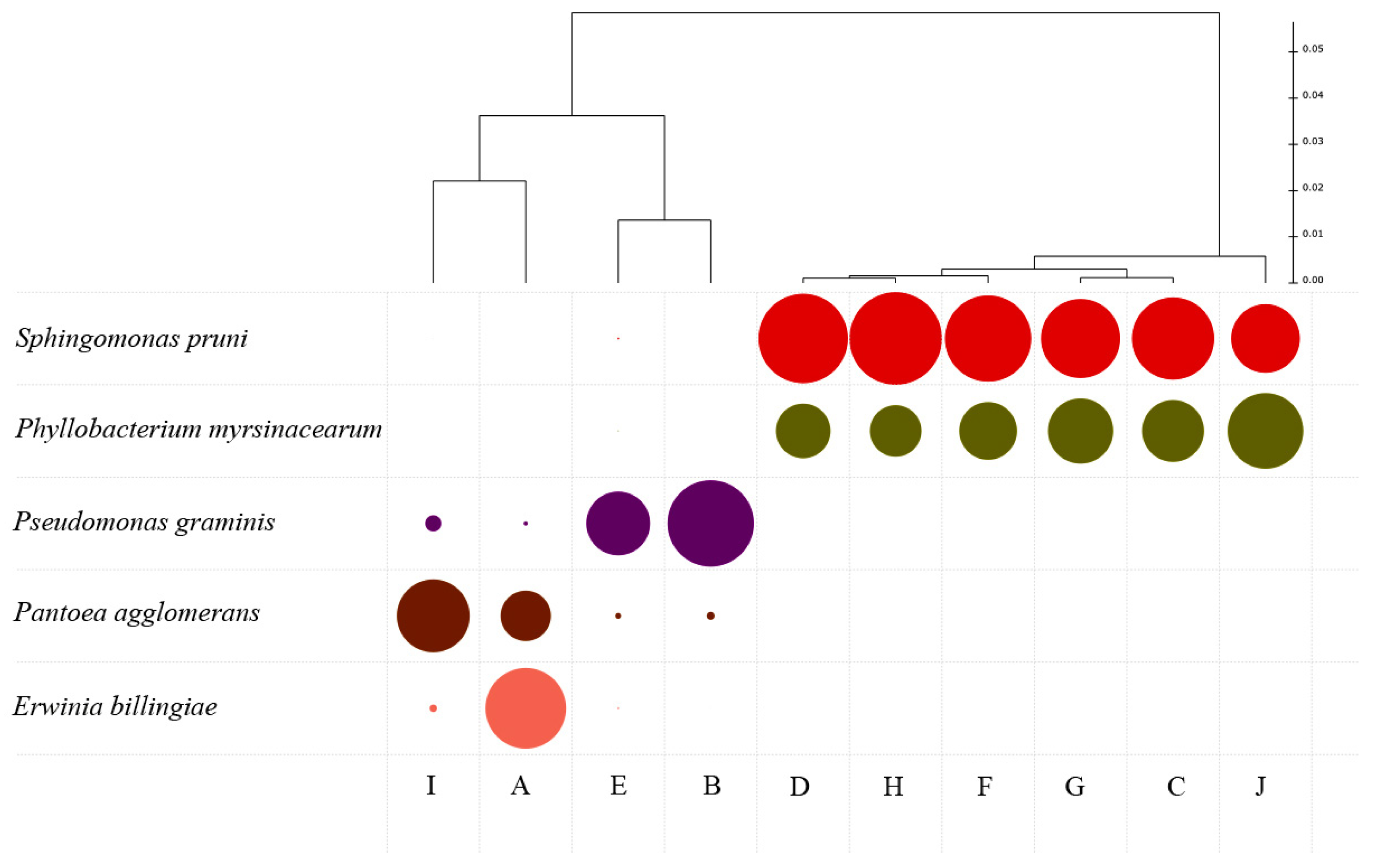 Biology 12 00146 g006 Biology 12 00146 g006