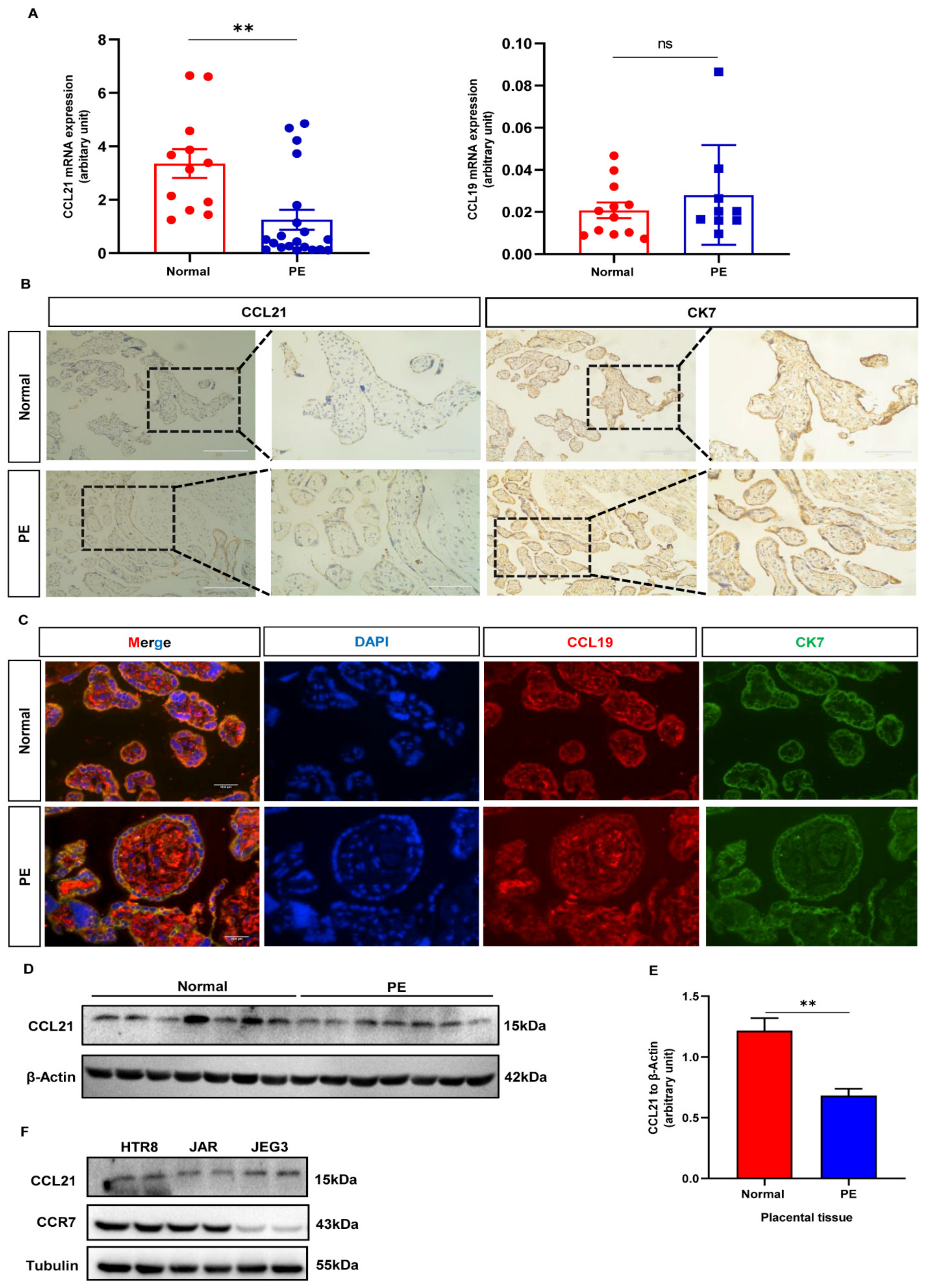 Biology 12 00150 g003