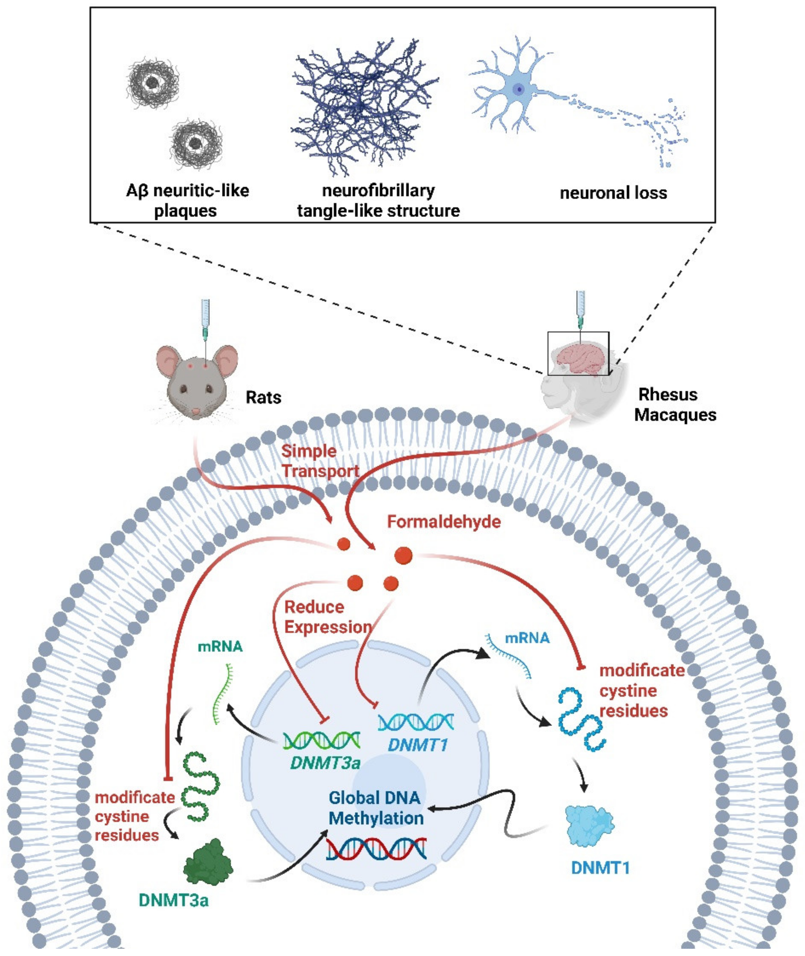 Biology 12 00152 g004 Biology 12 00152 g004