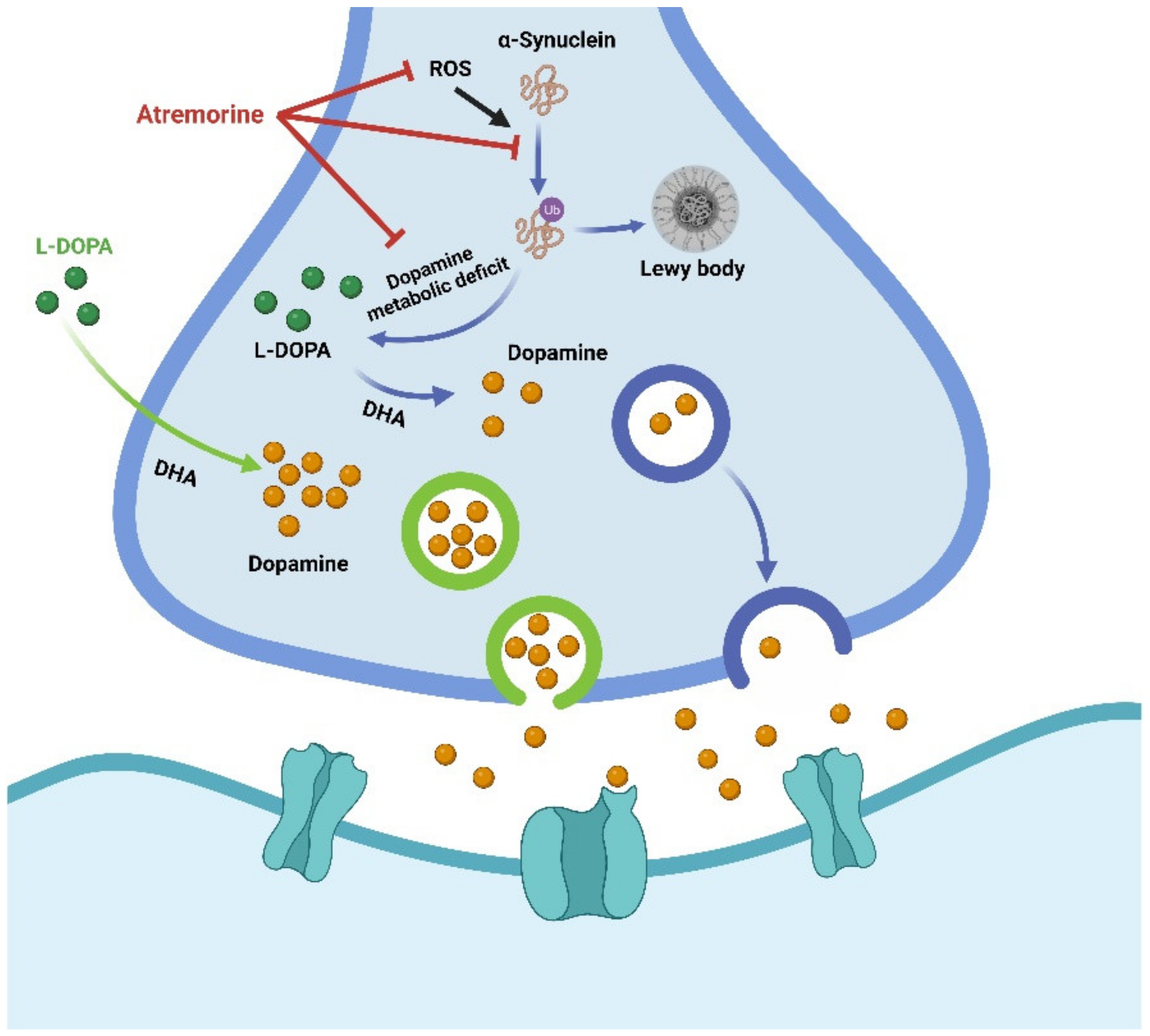 Biology 12 00152 g005 Biology 12 00152 g005