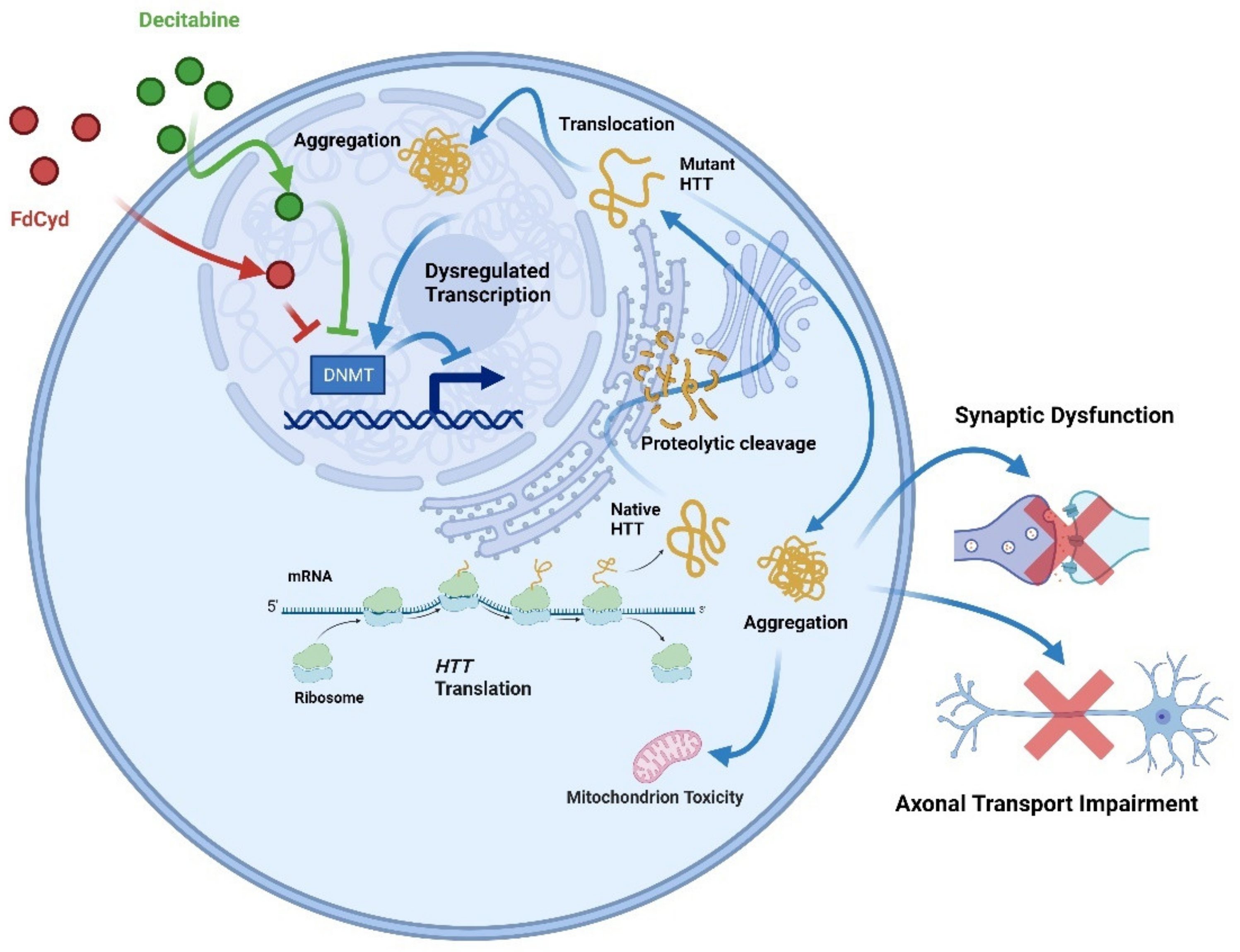 Biology 12 00152 g006 Biology 12 00152 g006