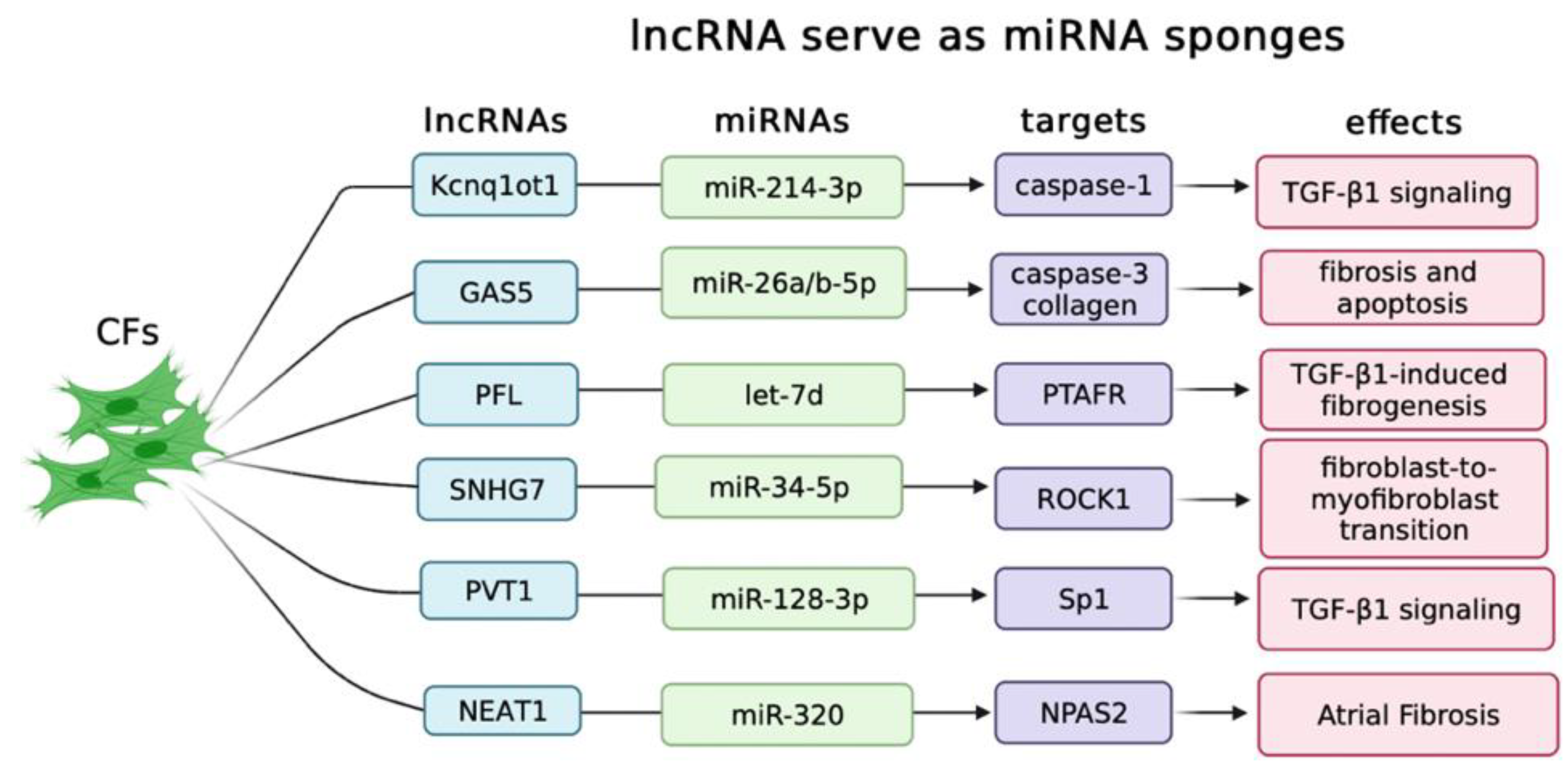 Biology 12 00154 g002 Biology 12 00154 g002