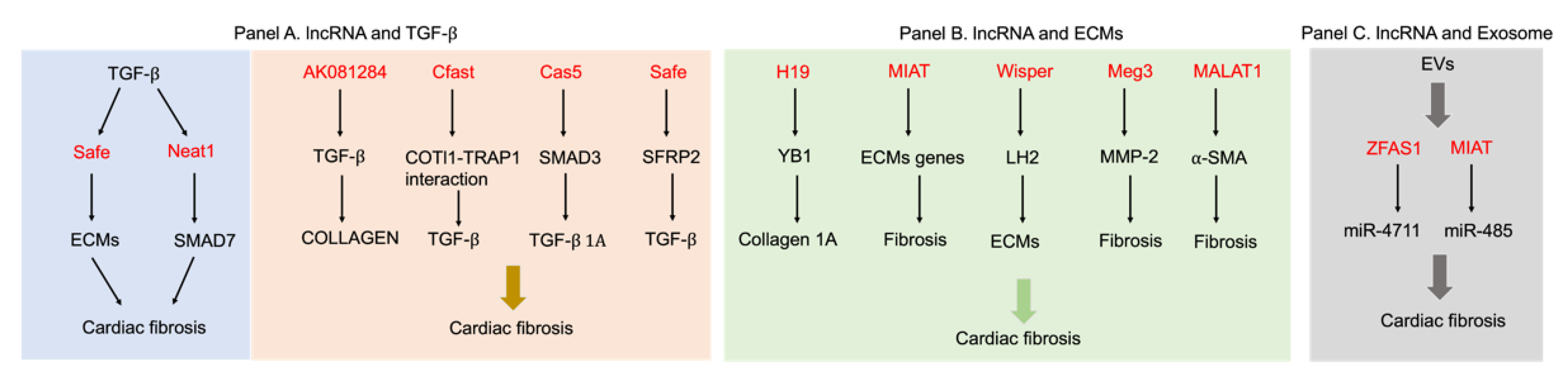 Biology 12 00154 g003 Biology 12 00154 g003