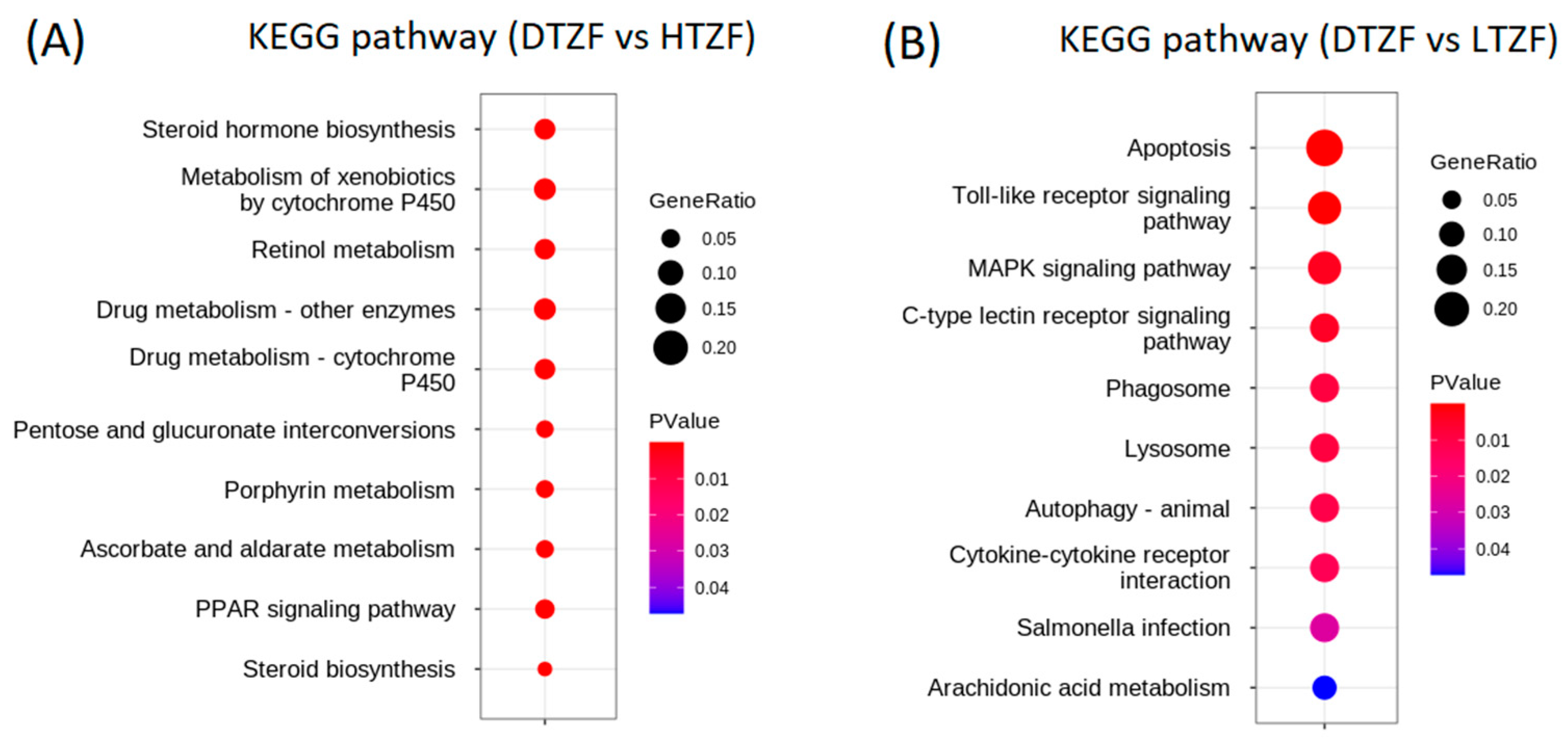 Biology 12 00156 g007