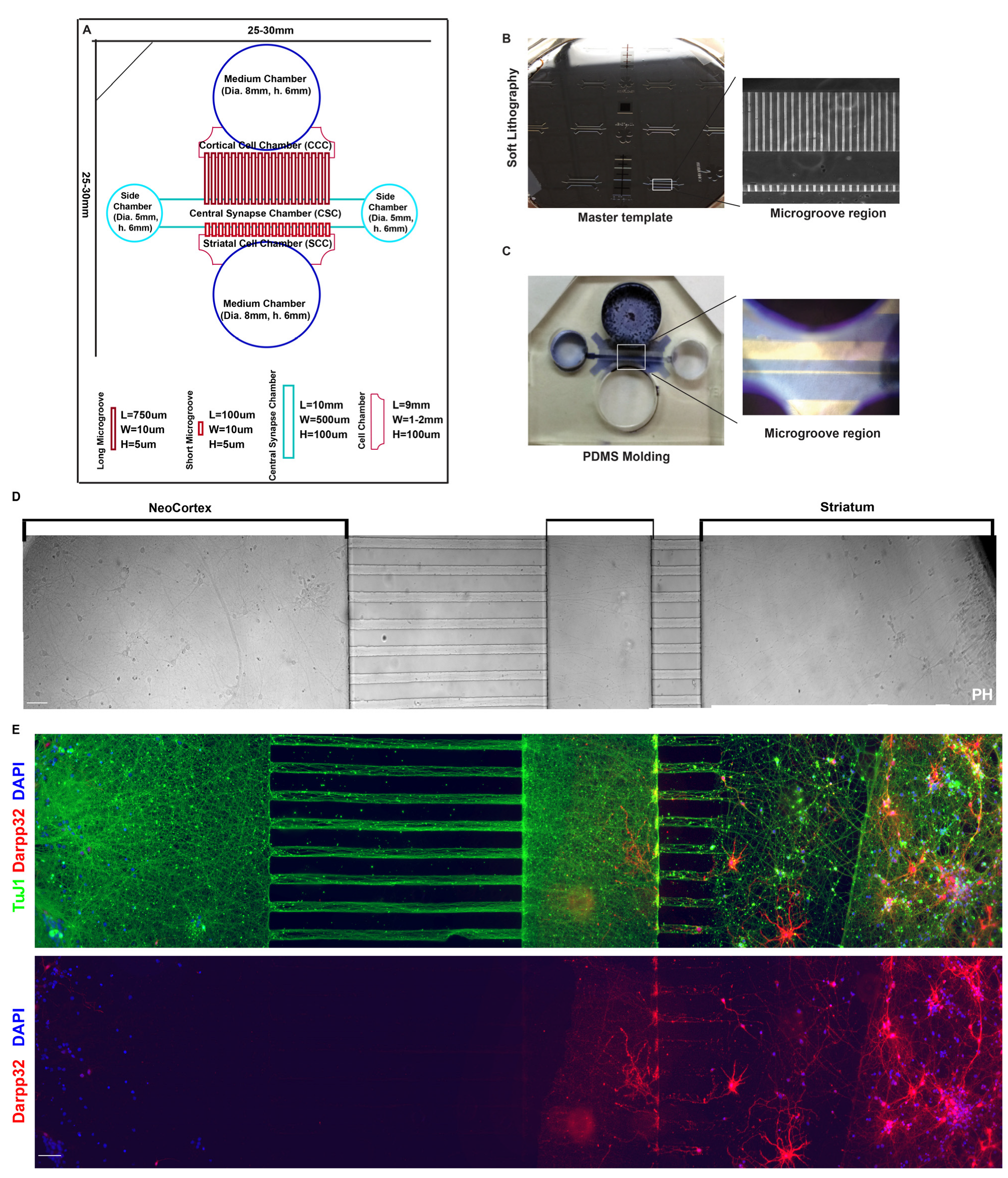Biology 12 00157 g002