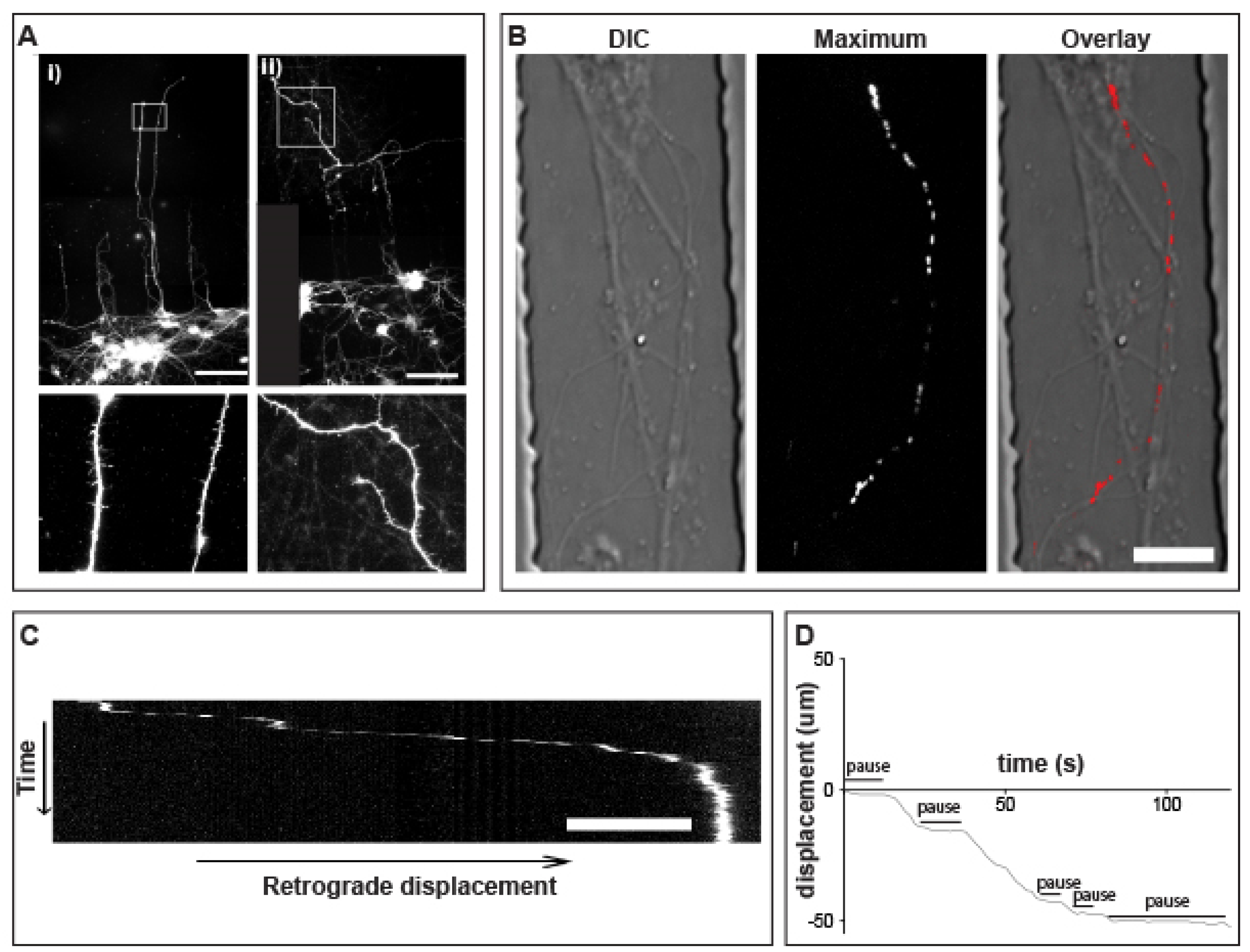 Biology 12 00157 g004