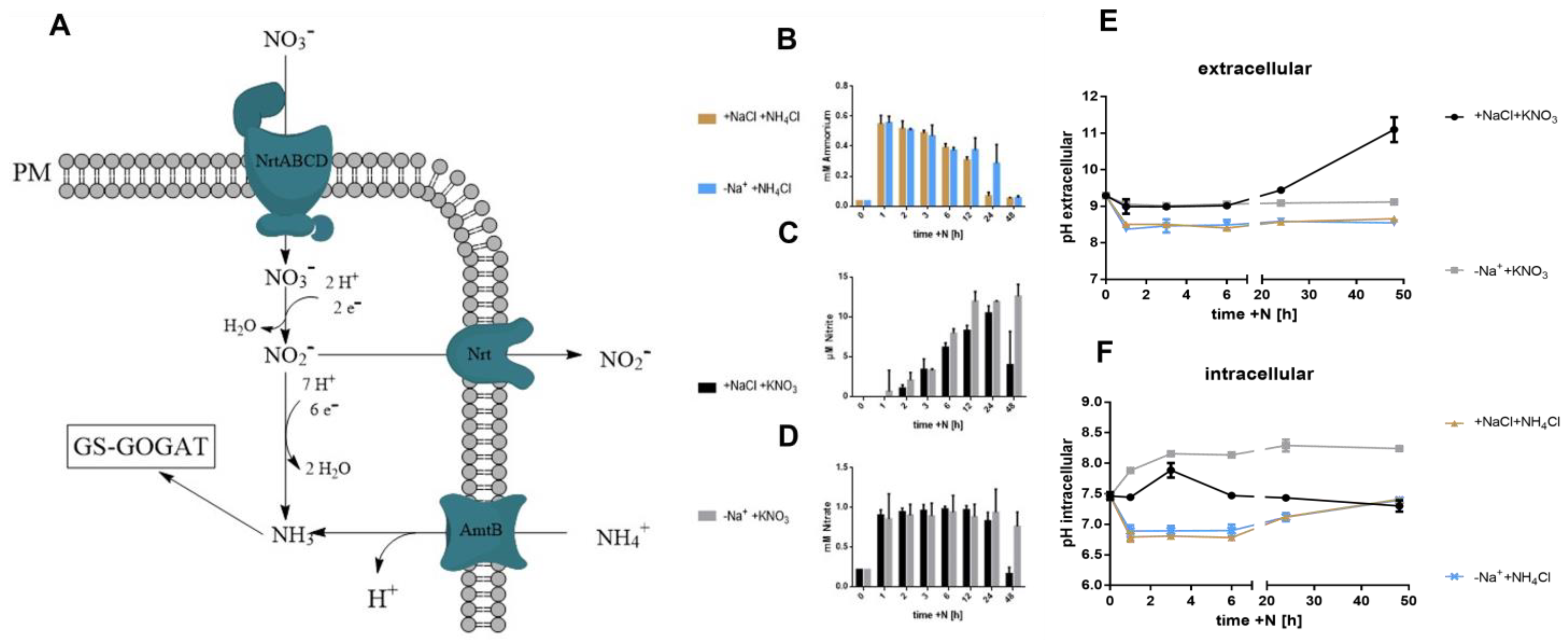 Biology 12 00159 g002 Biology 12 00159 g002