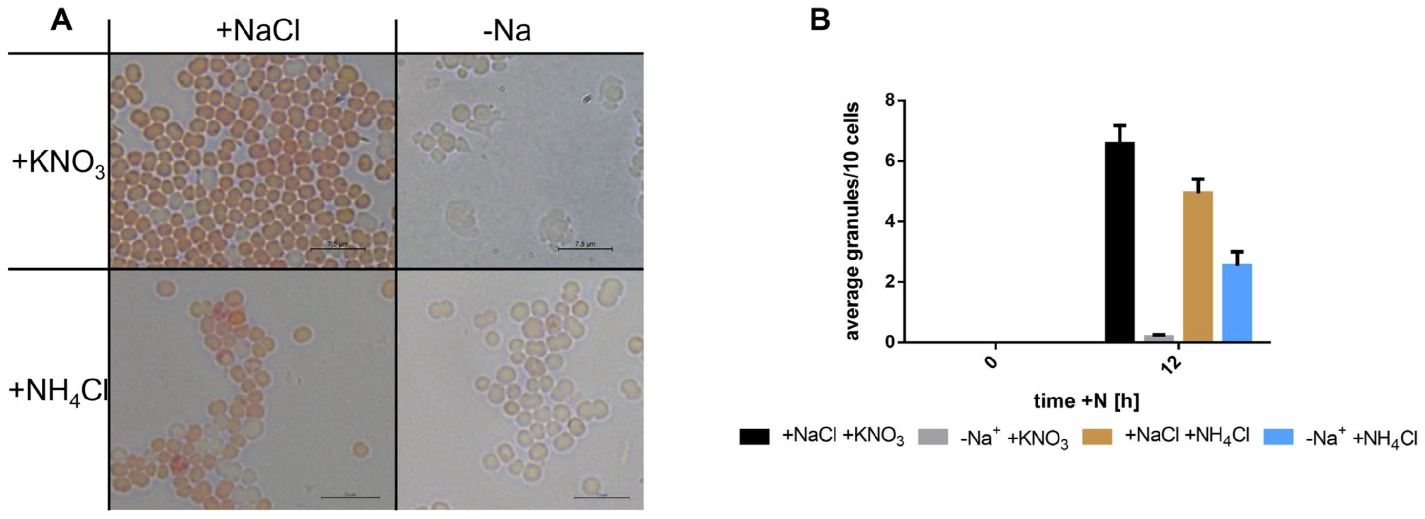 Biology 12 00159 g004 Biology 12 00159 g004