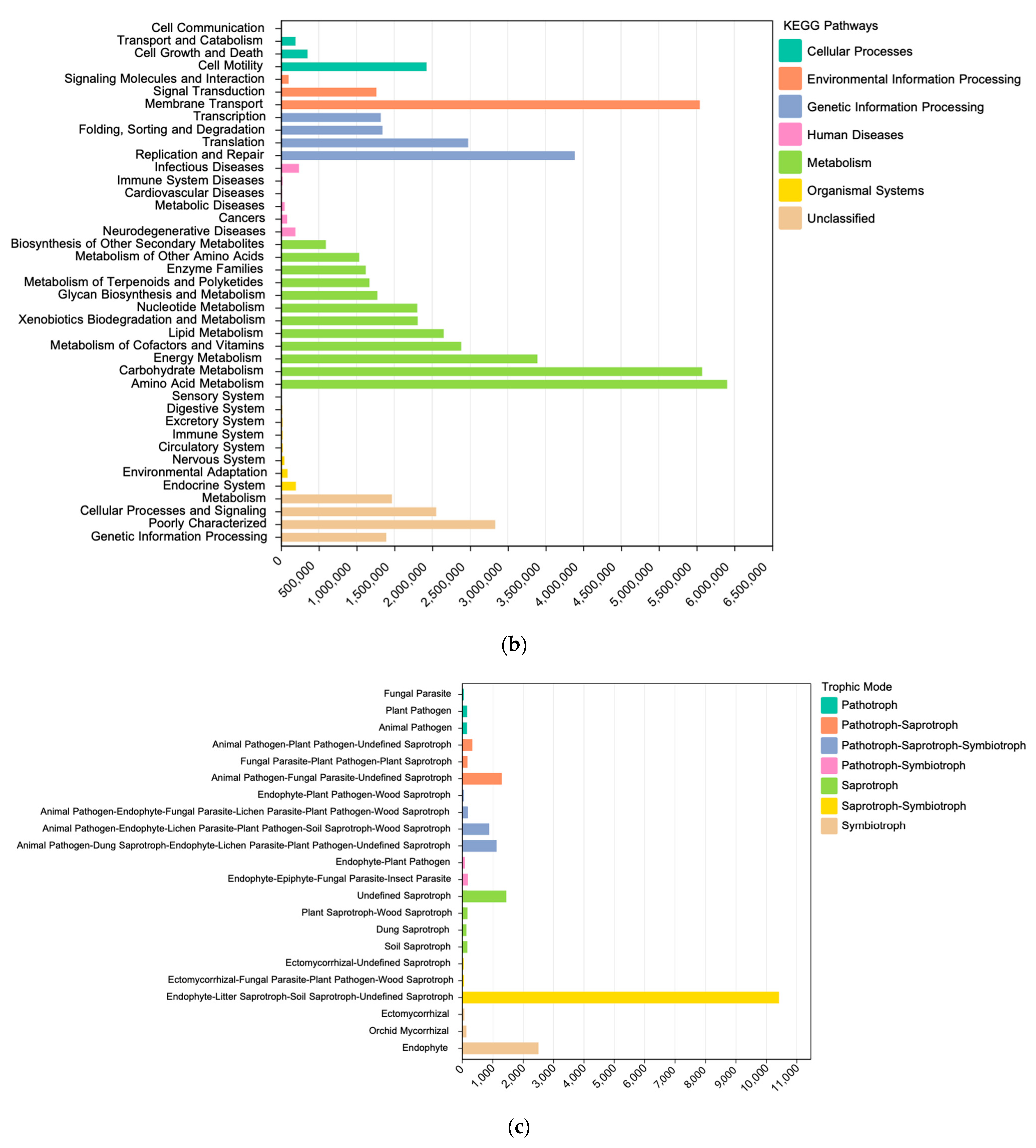 Biology 12 00160 g003b Biology 12 00160 g003b
