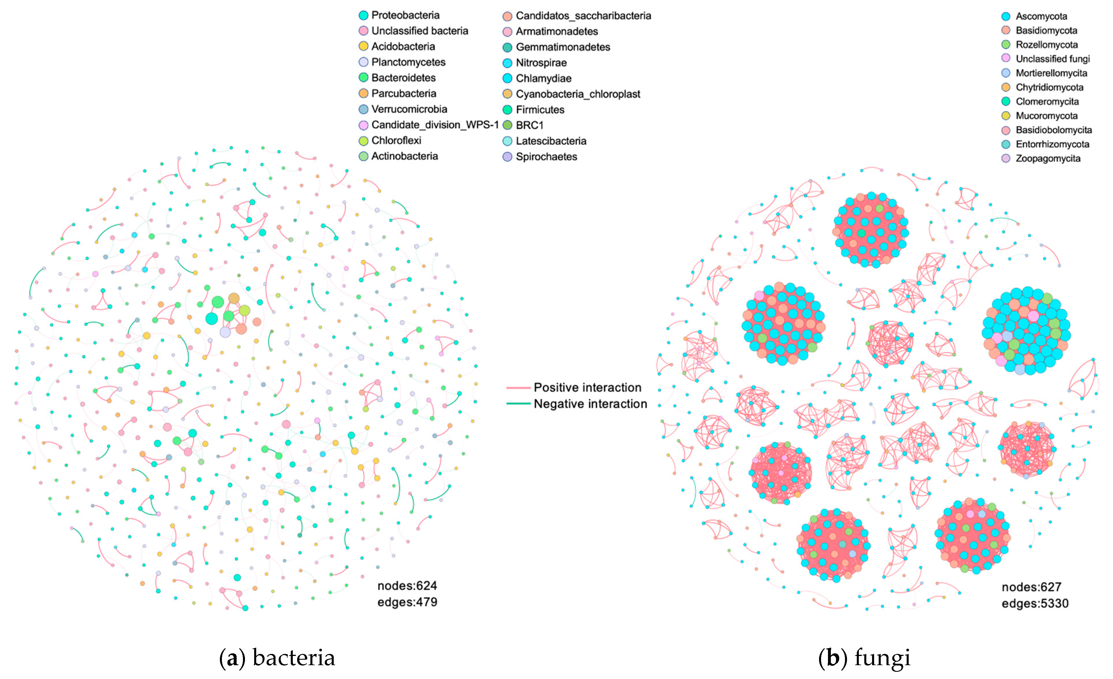 Structure and Function Analysis of Cultivated Meconopsis