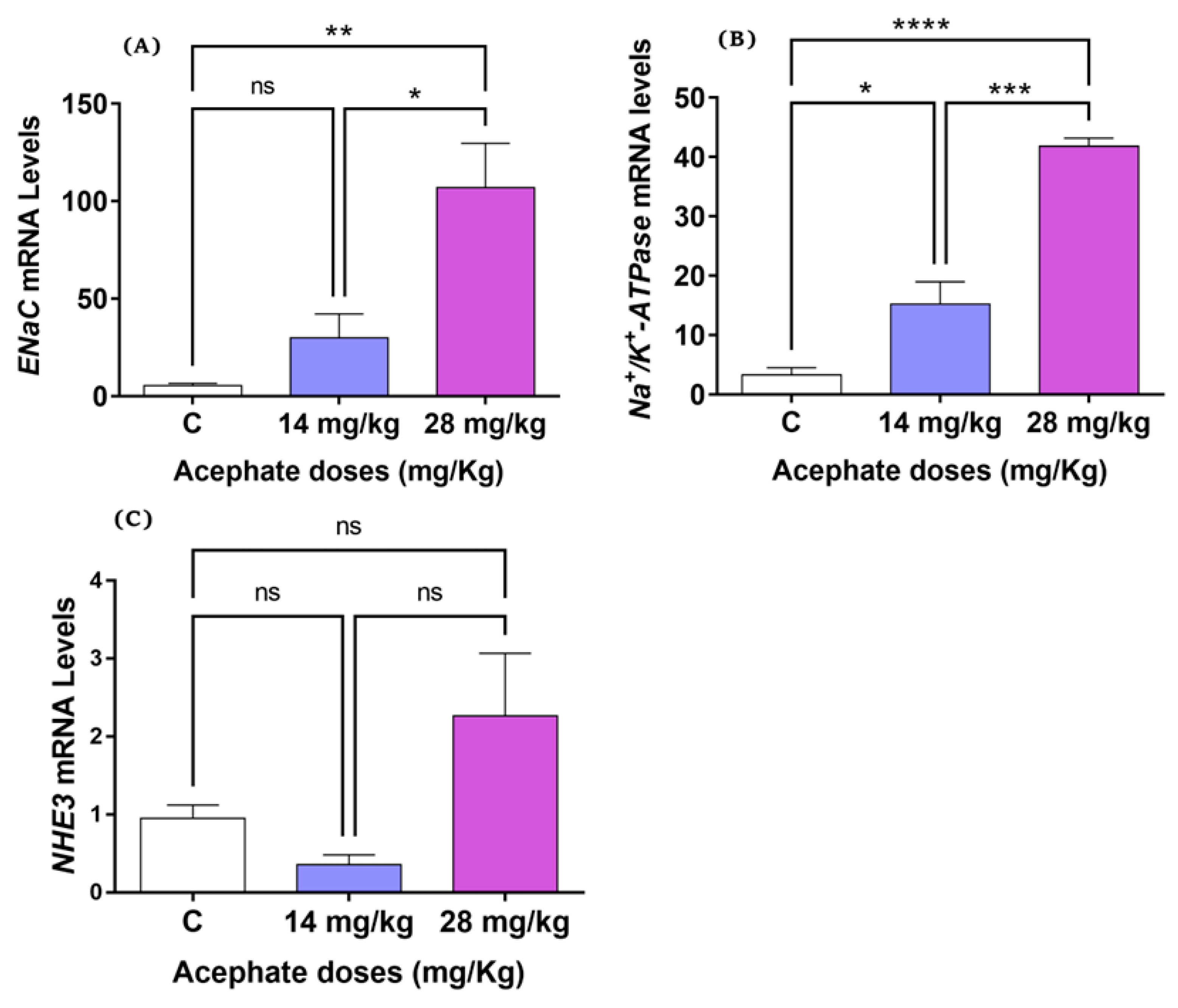 Biology 12 00162 g005 Biology 12 00162 g005